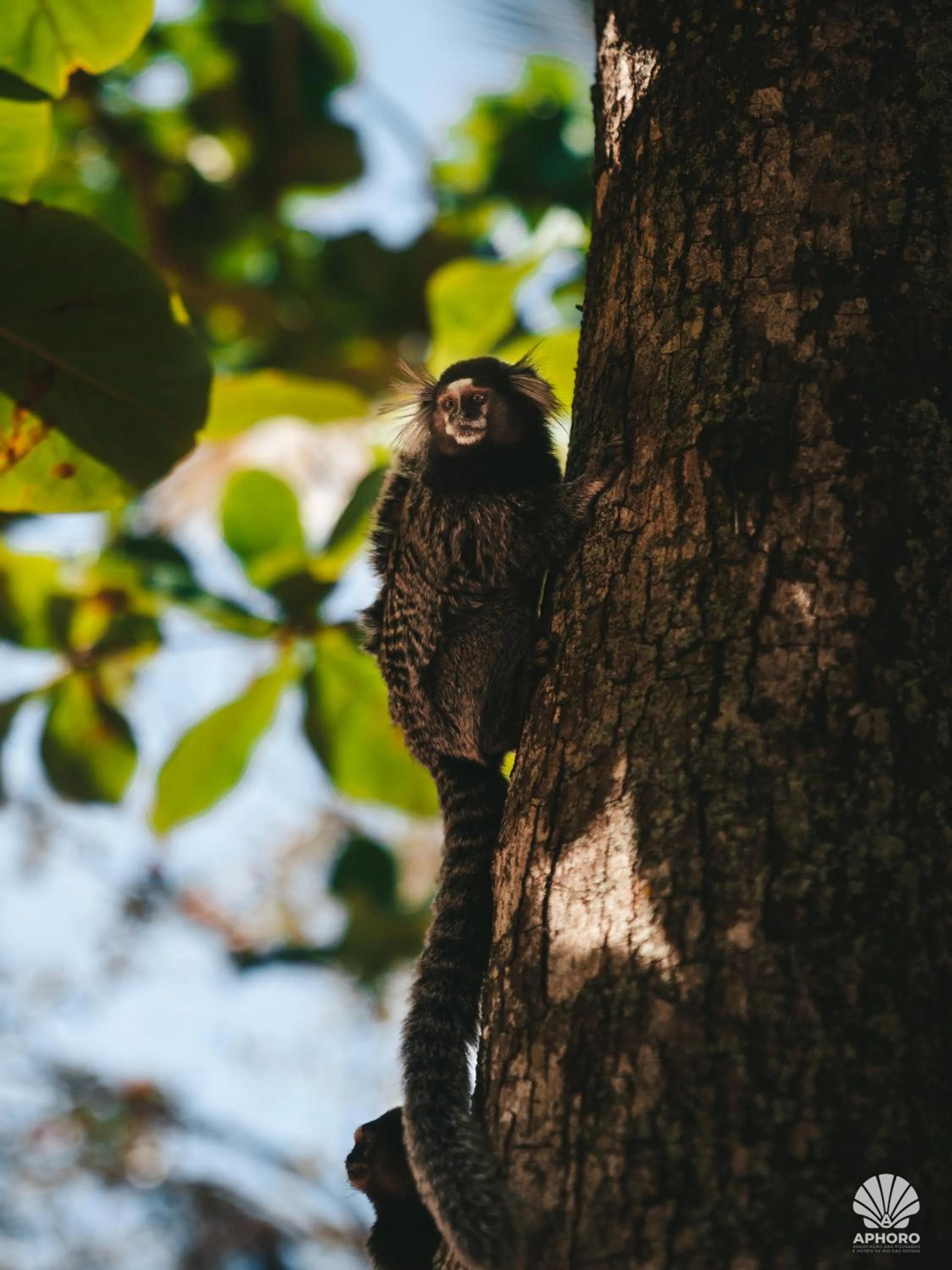 Other in Pousada Sonho Verde