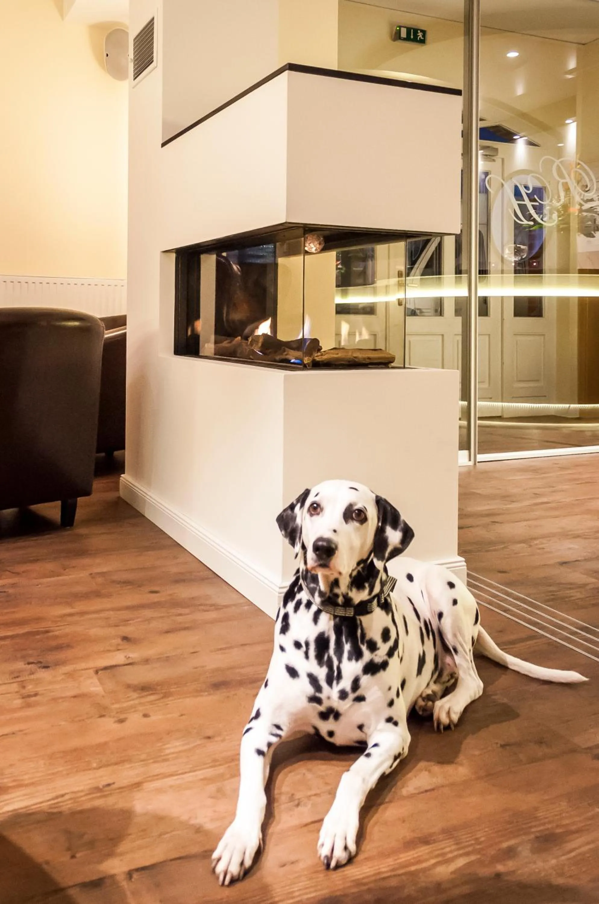 Lounge or bar in Der Romantik-Hof Greetsiel