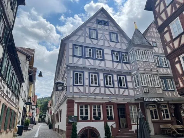 Property building in Hotel Schwanen