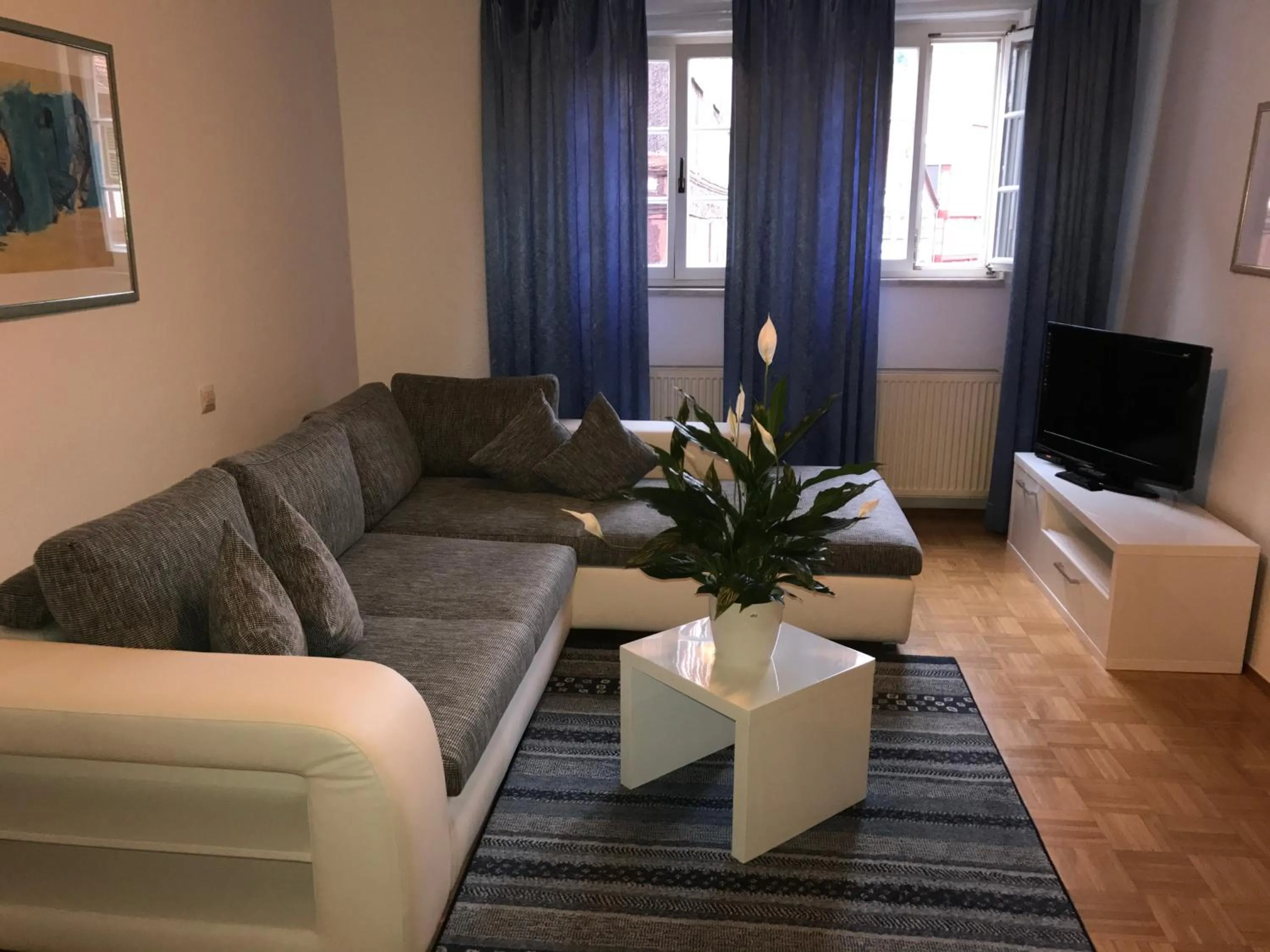 Communal lounge/ TV room in Hotel Schwanen