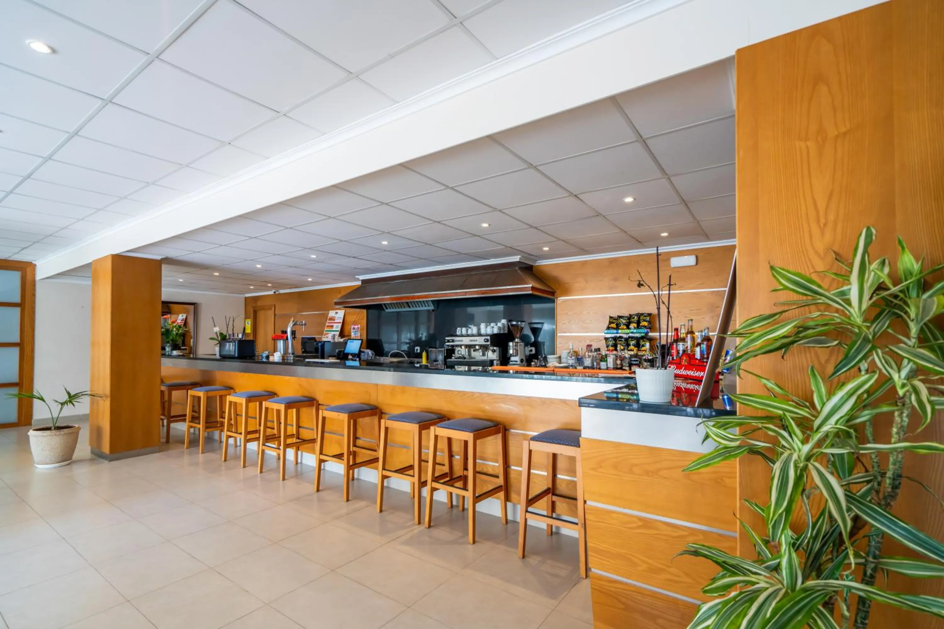 Lounge or bar in Club Can Bossa