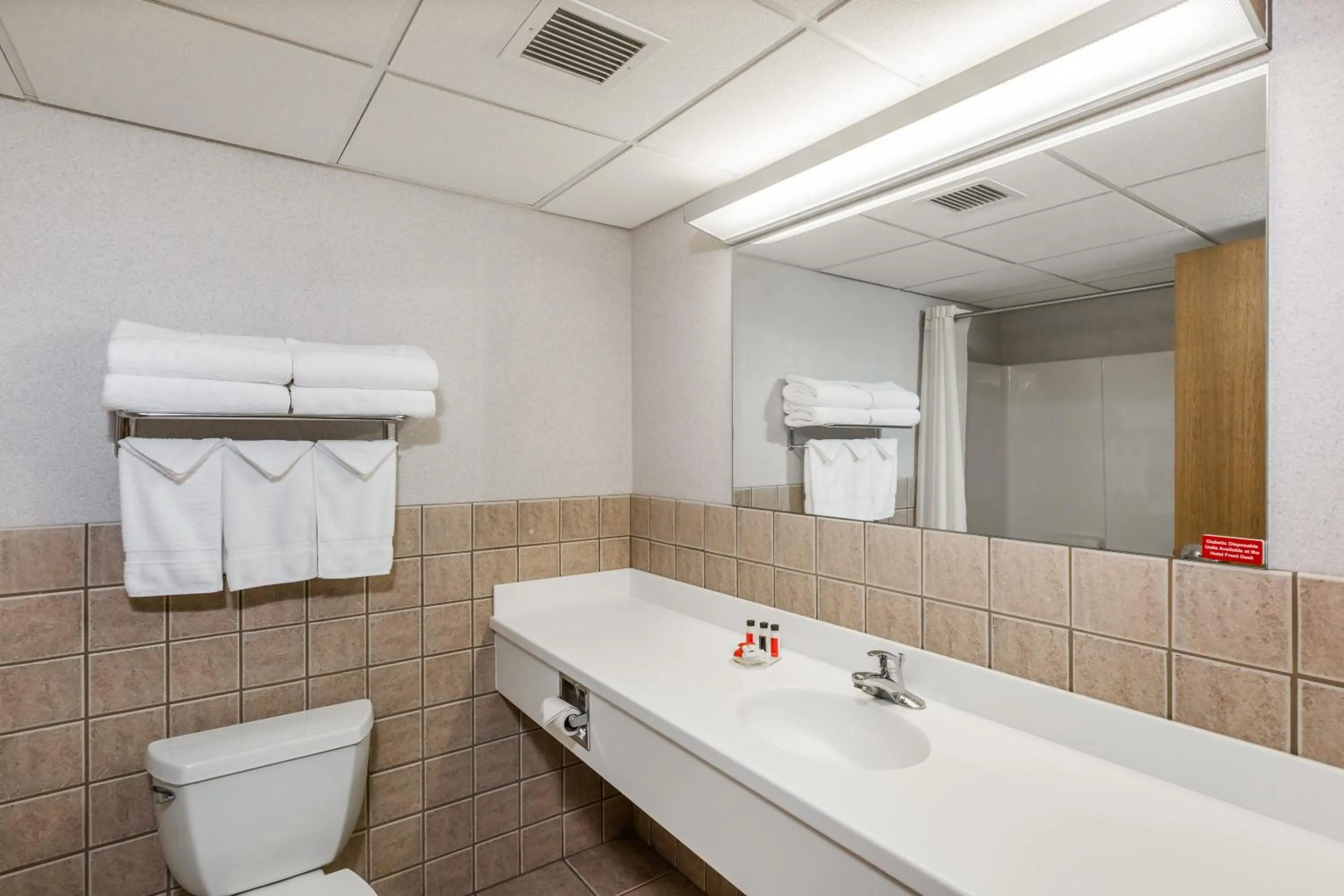 Bathroom in Travelodge by Wyndham Deadwood