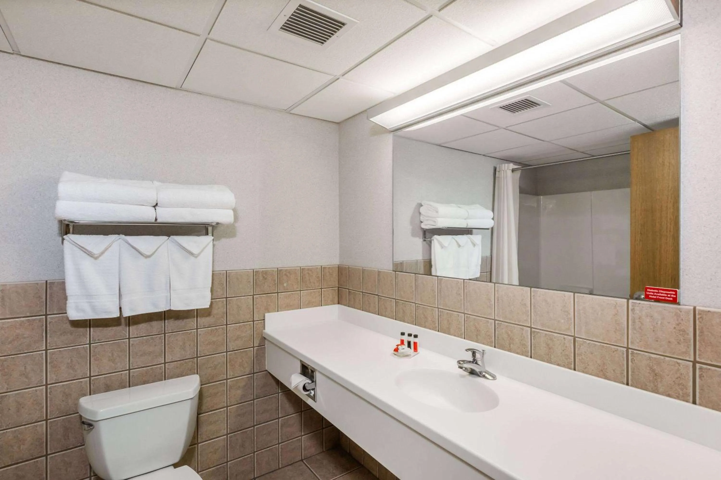 Bathroom in Travelodge by Wyndham Deadwood