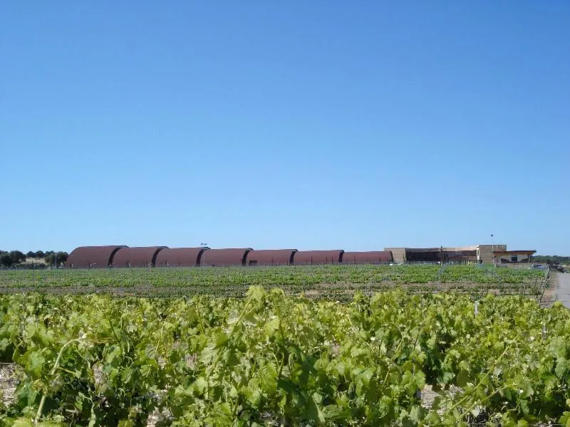 Hotel Bodega Pago del Vicario