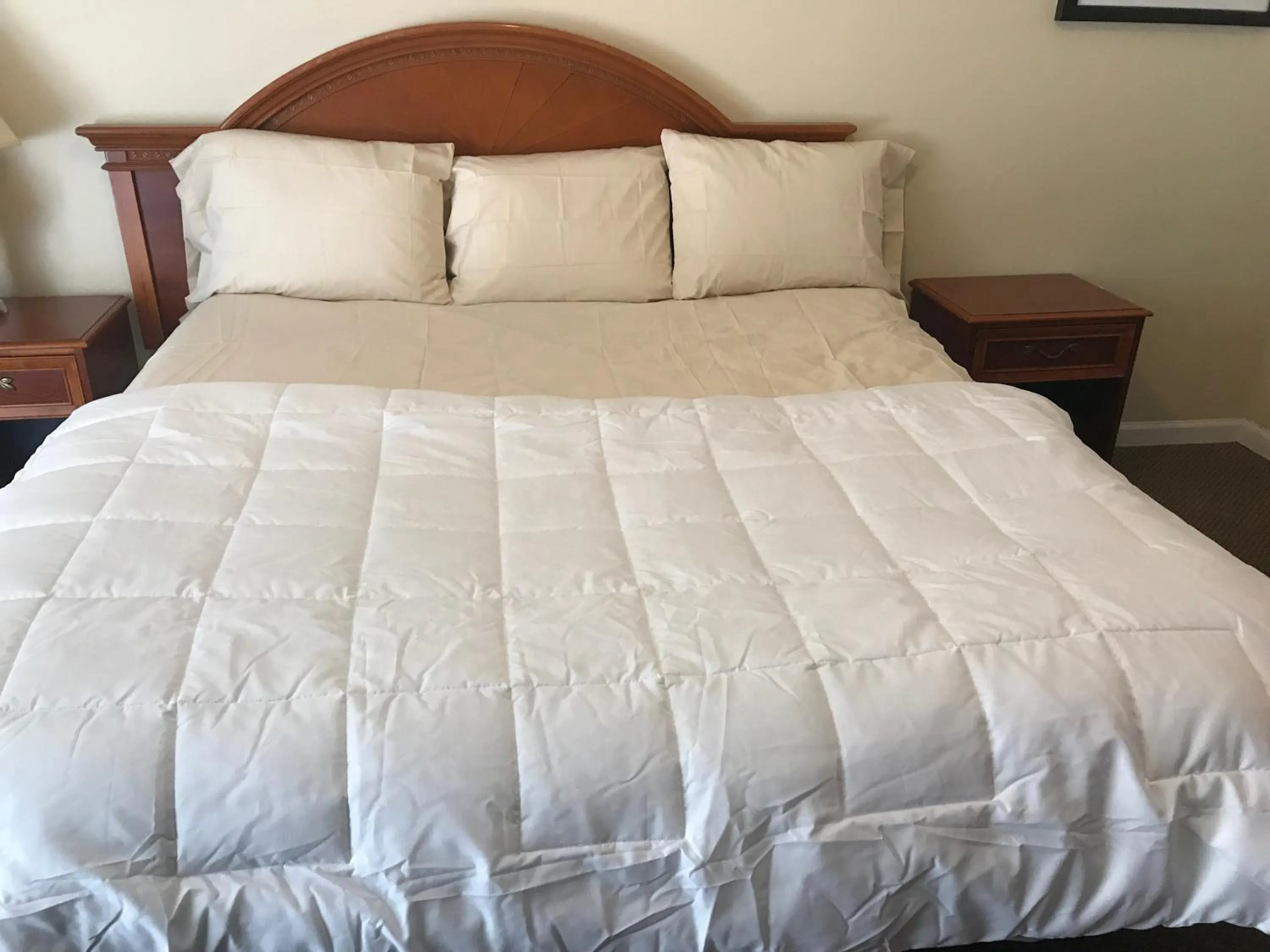 Bed in Red Carpet Inn, Alexandria