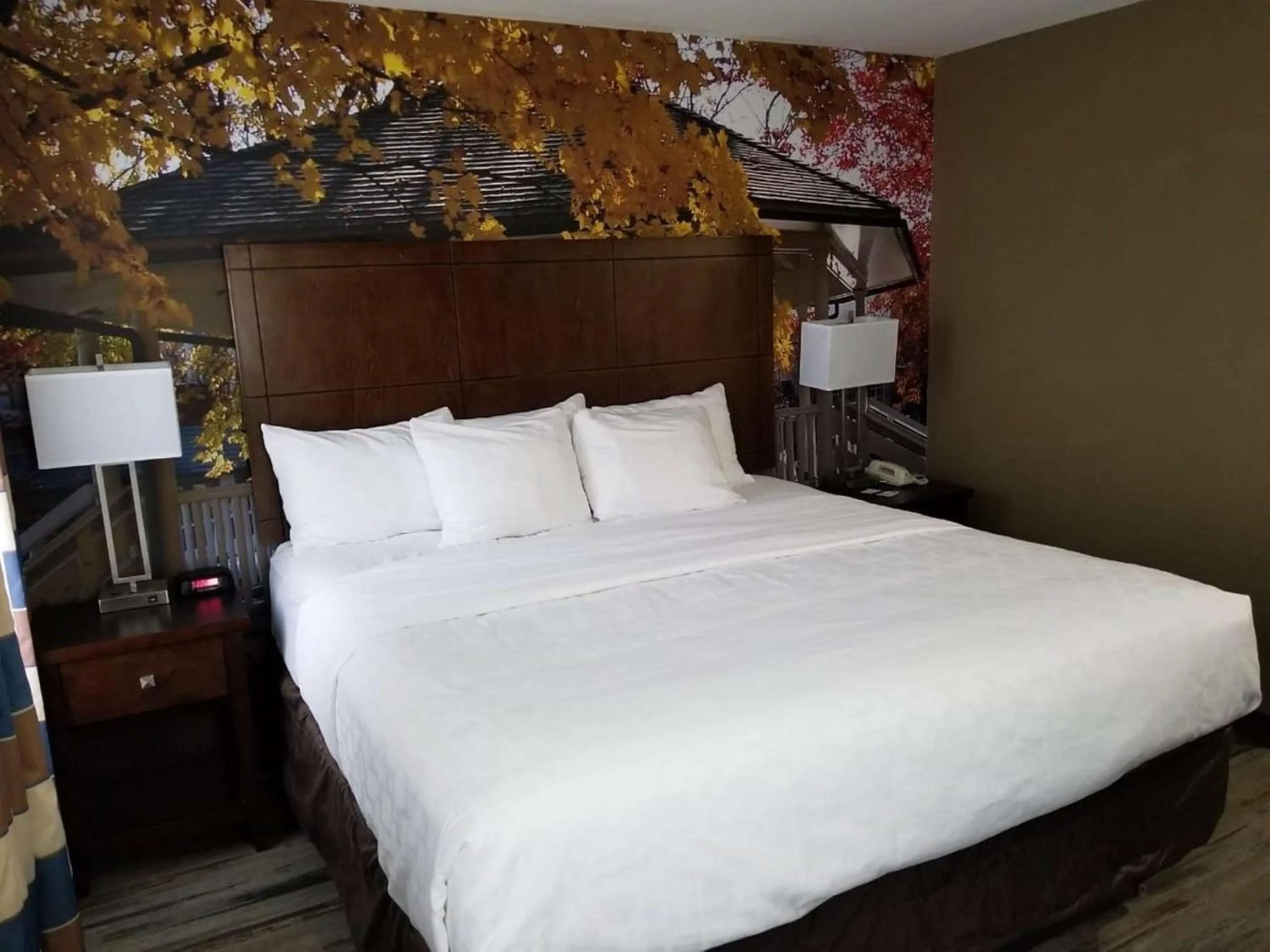 Bedroom, Bed in SureStay Plus by Best Western Corydon