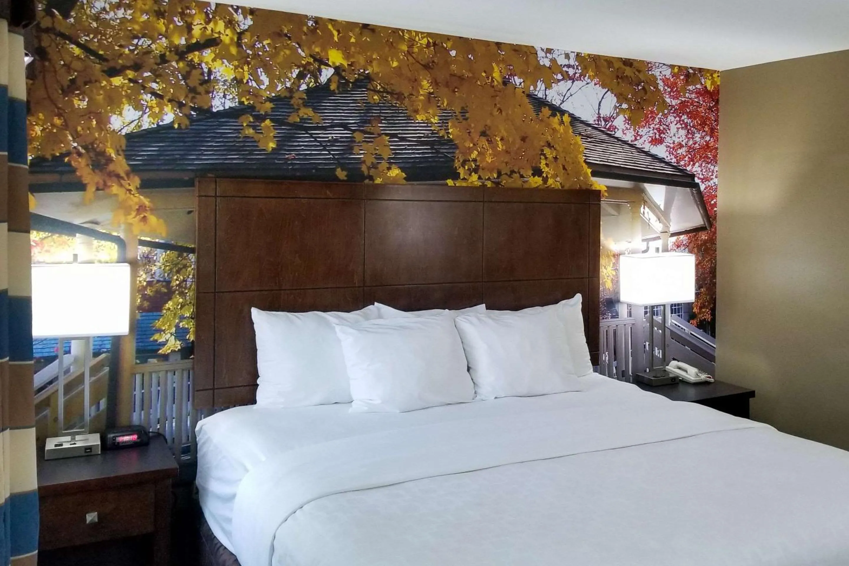 Bedroom in SureStay Plus by Best Western Corydon