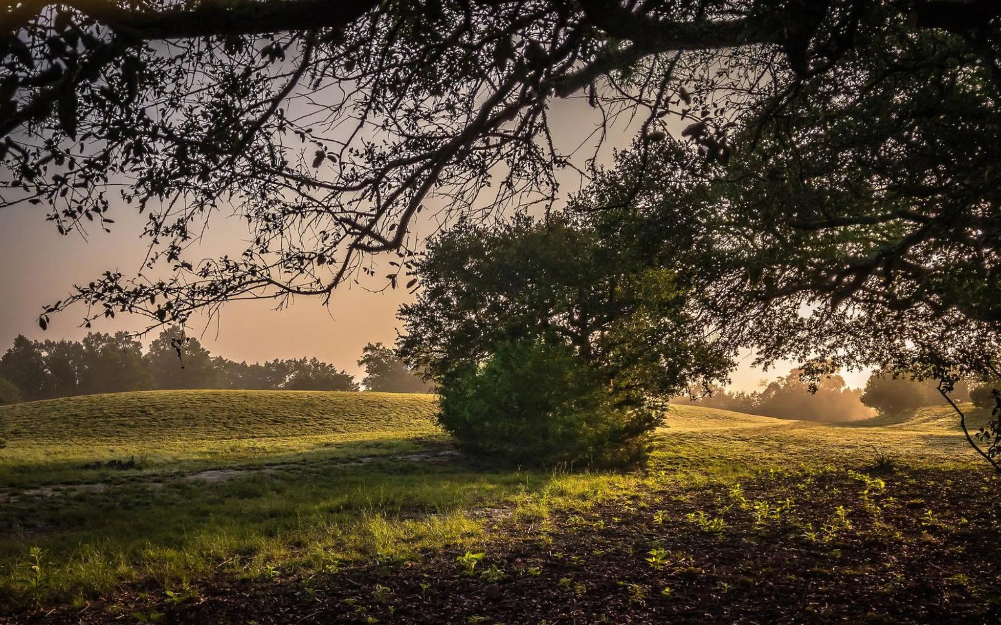 Natural landscape in Cypress Fairway Village
