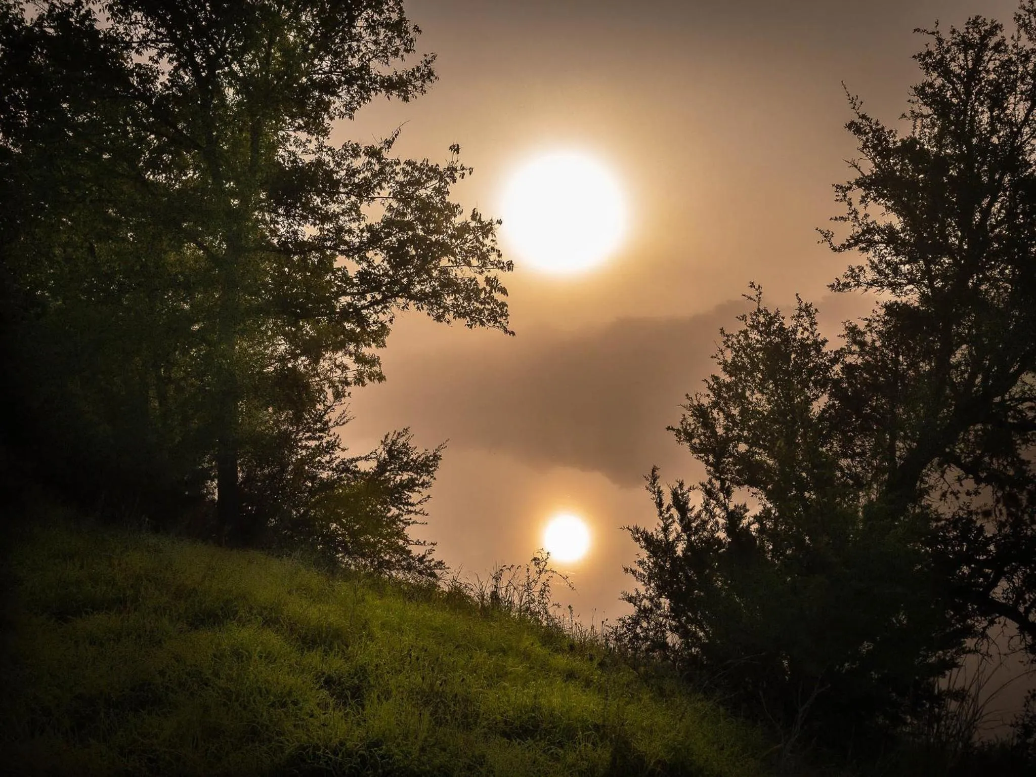 Natural landscape in Cypress Fairway Village