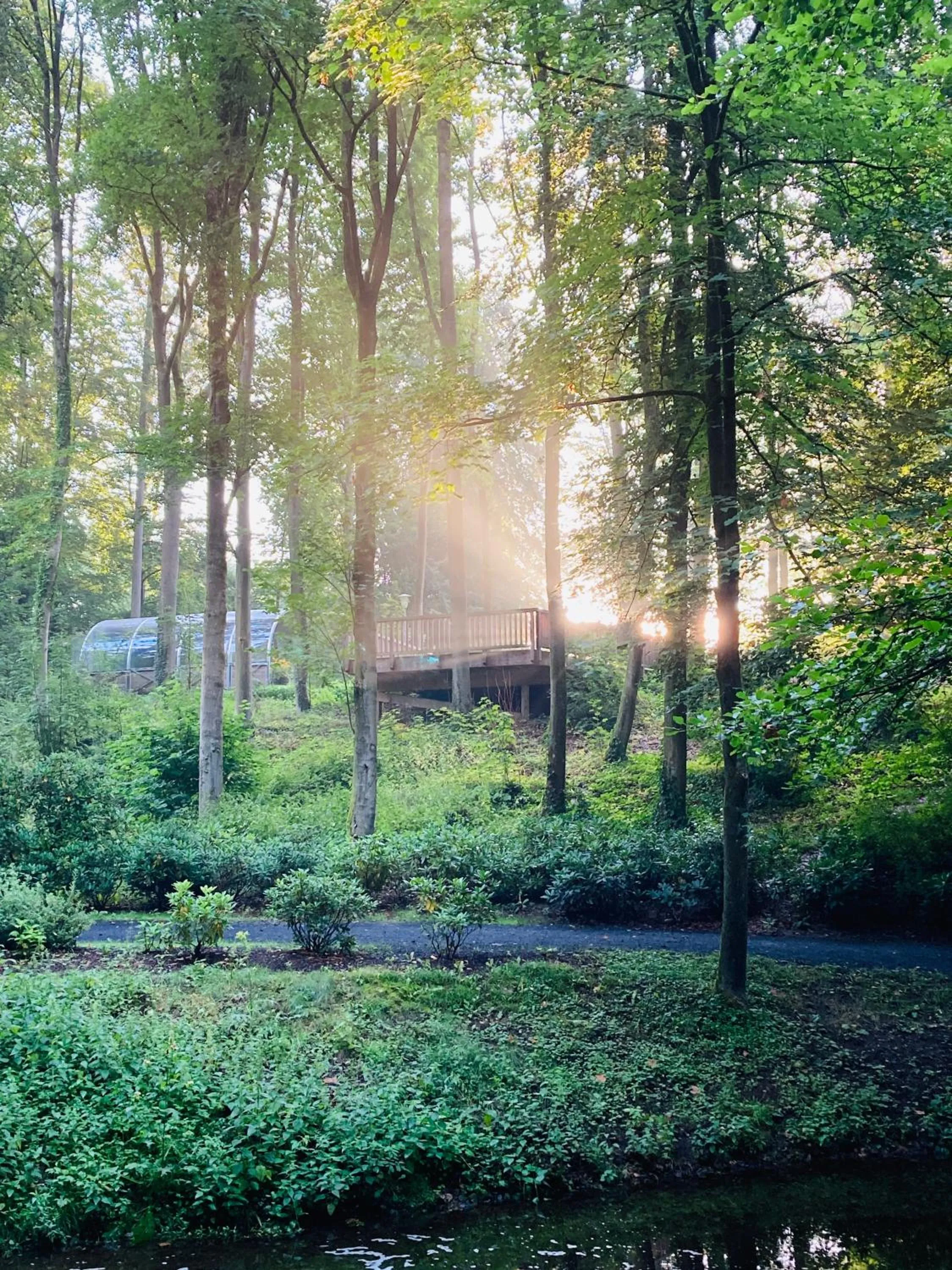 Natural landscape in Hotel im Park