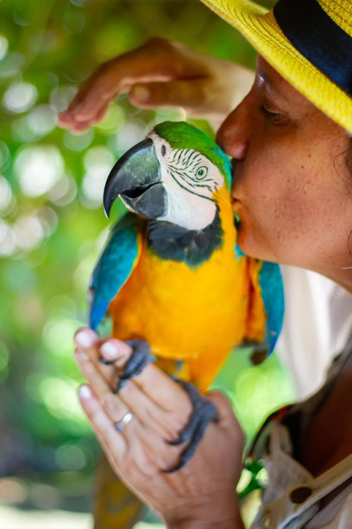 Animals in Eco Luar Boutique Hotel