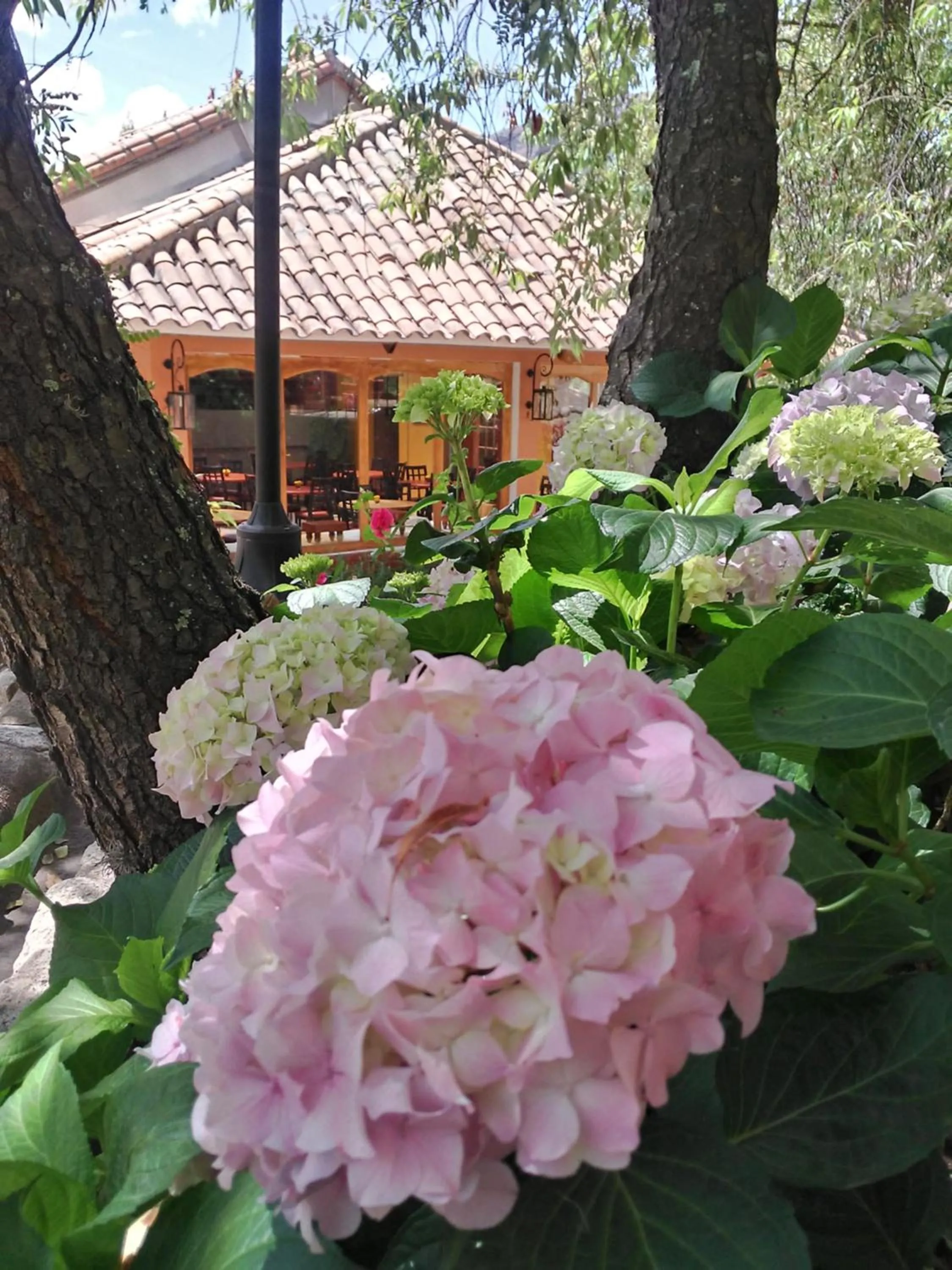 Garden view in Hotel Pisonay Pueblo