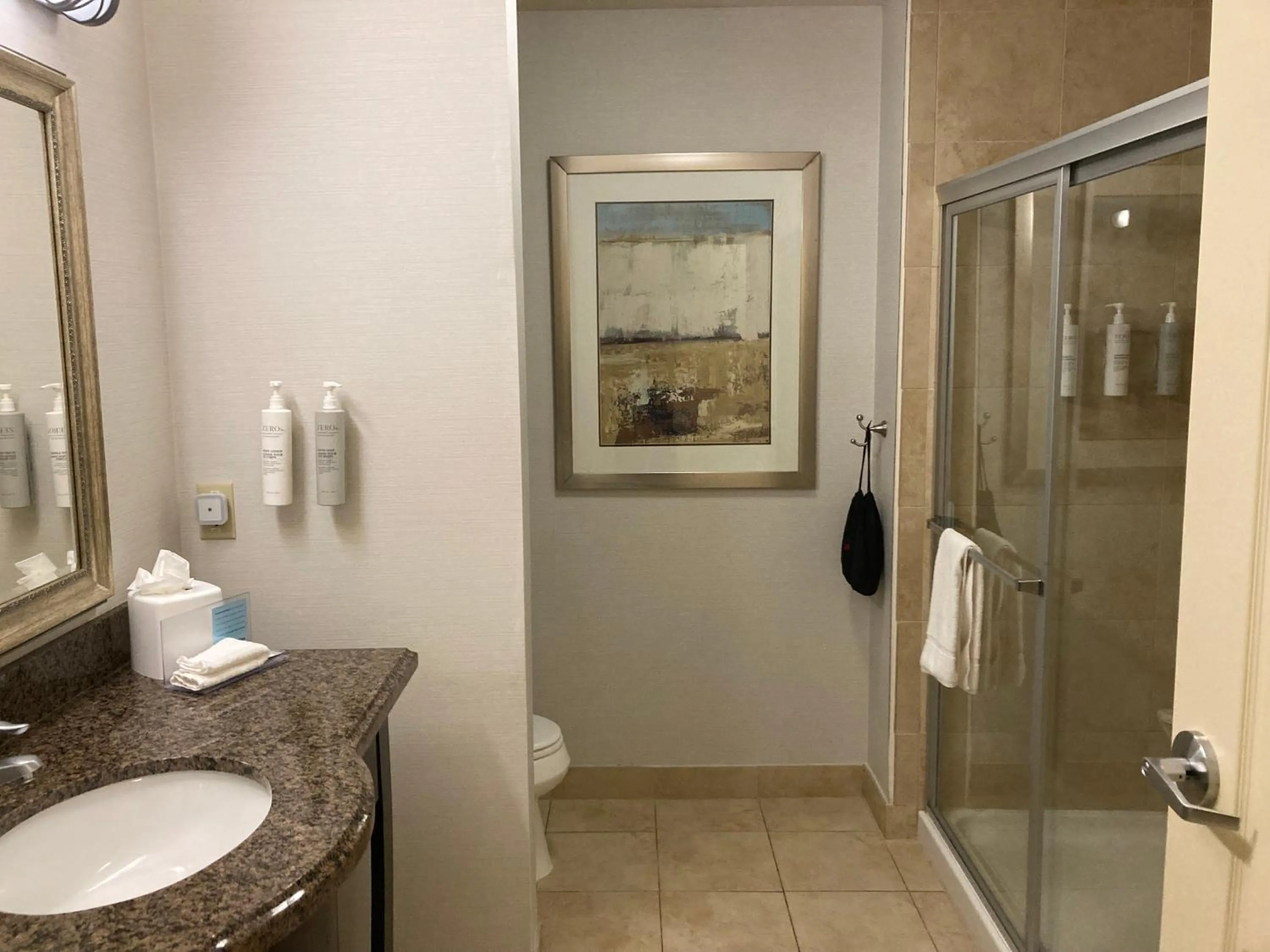 Bathroom in Hampton Inn & Suites Carlsbad