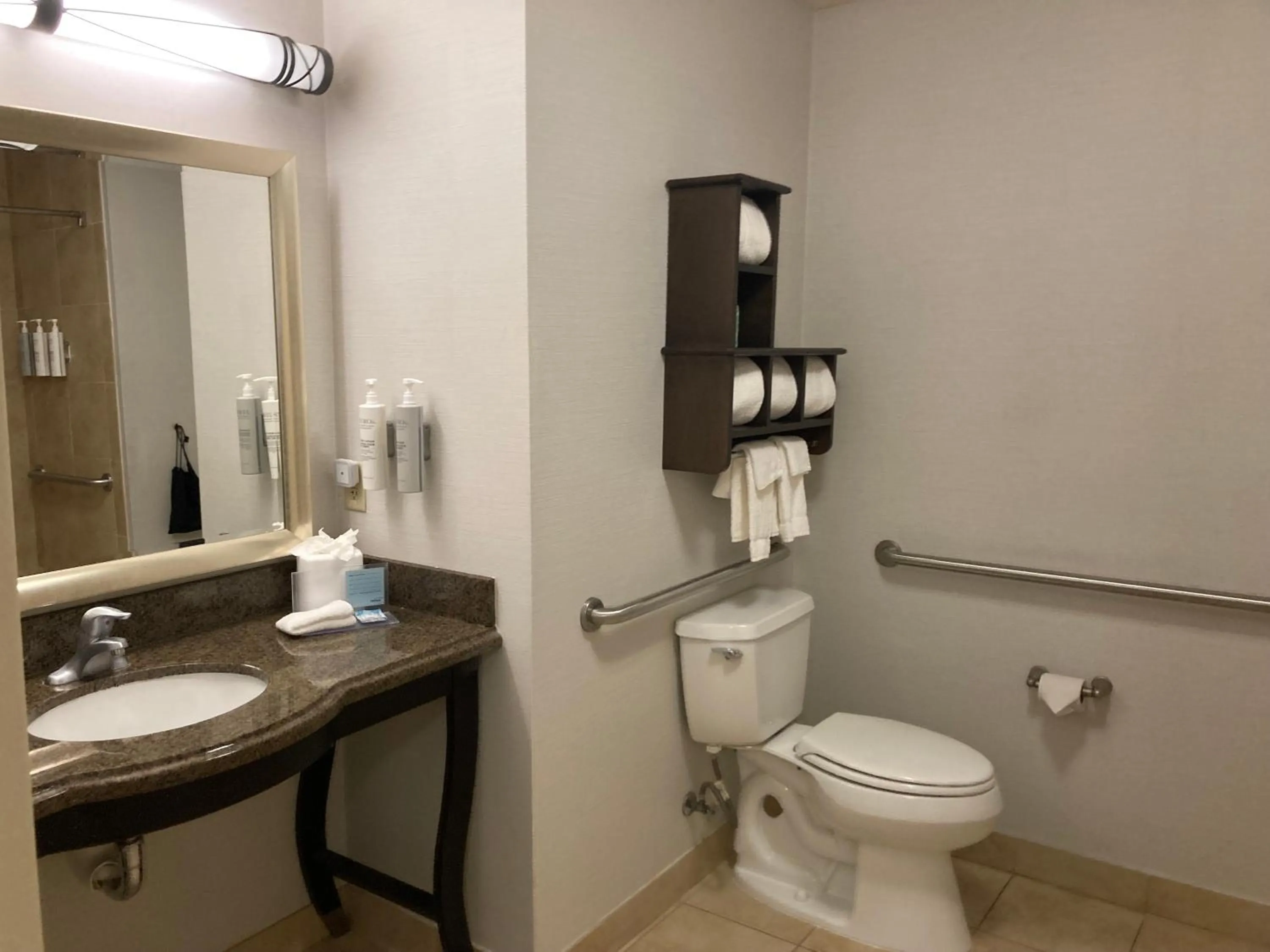Bathroom in Hampton Inn & Suites Carlsbad