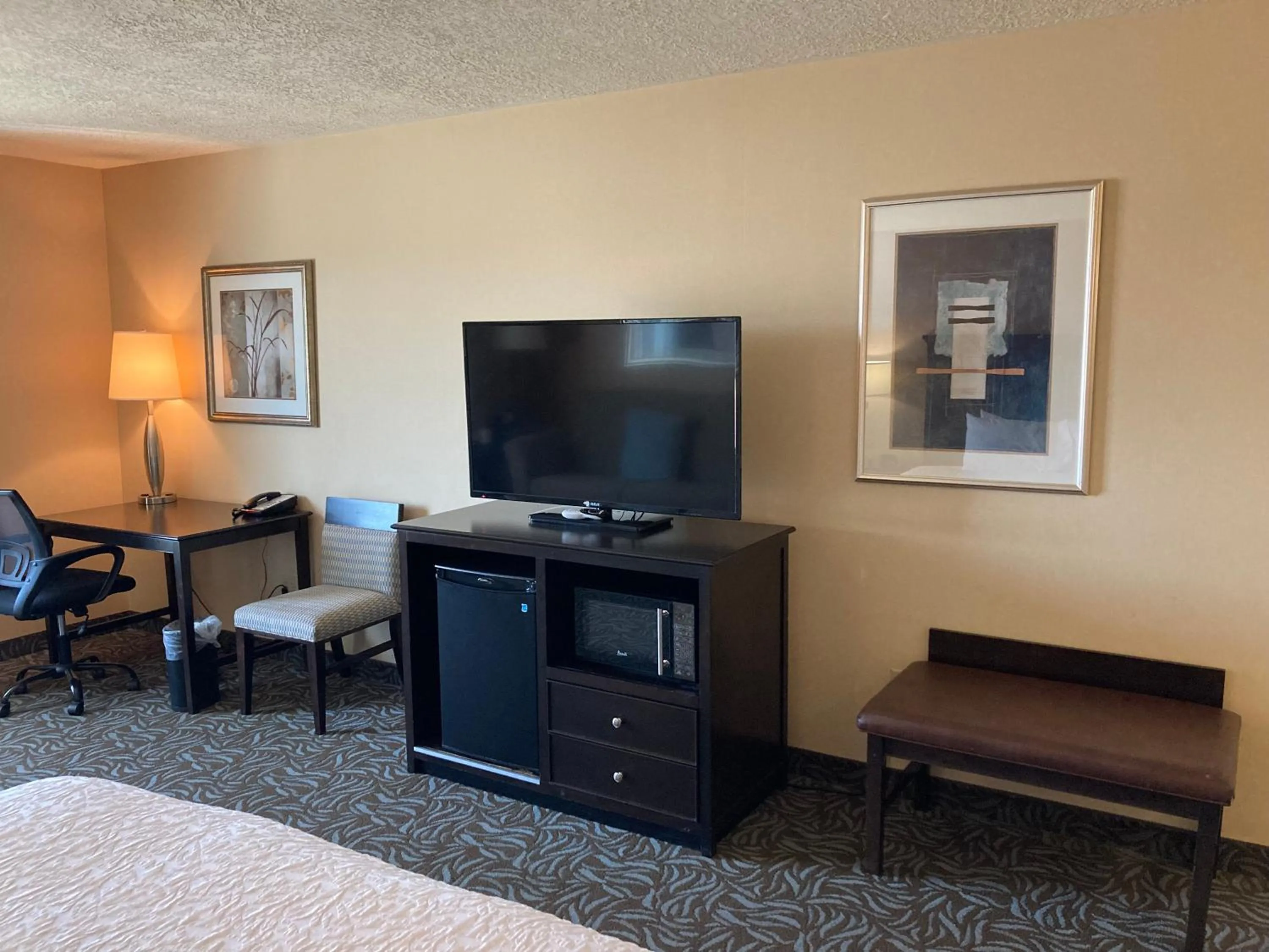TV and multimedia, Bed in Hampton Inn & Suites Carlsbad
