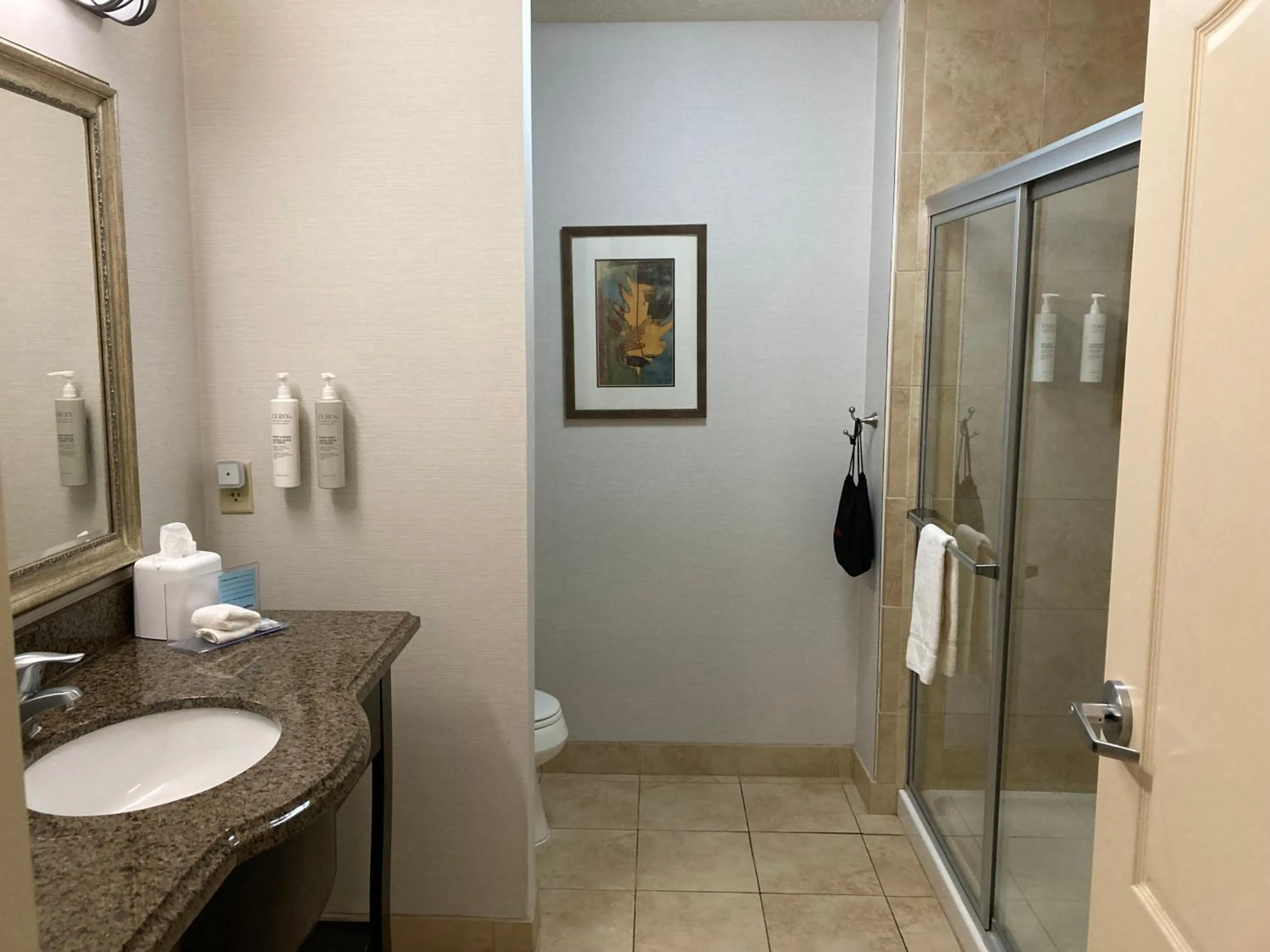 Bathroom in Hampton Inn & Suites Carlsbad