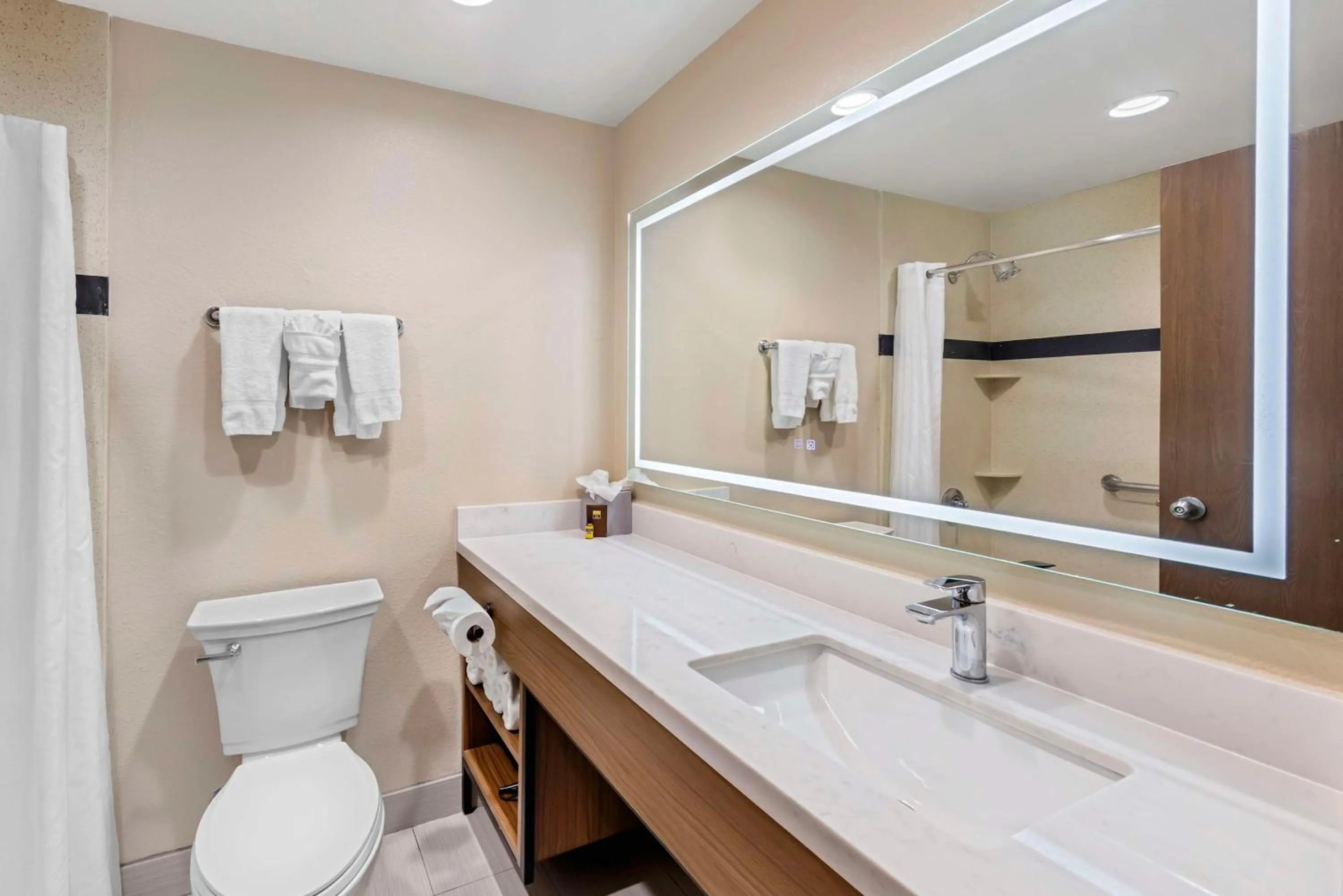 Bathroom in Best Western Plus Heritage Inn Ontario Rancho Cucamonga