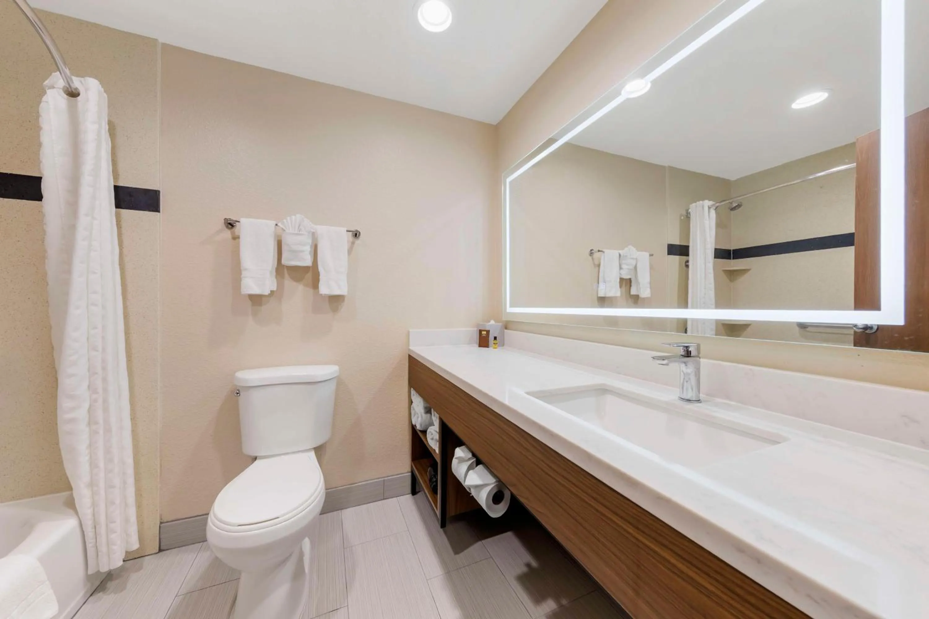 Bathroom in Best Western Plus Heritage Inn Ontario Rancho Cucamonga