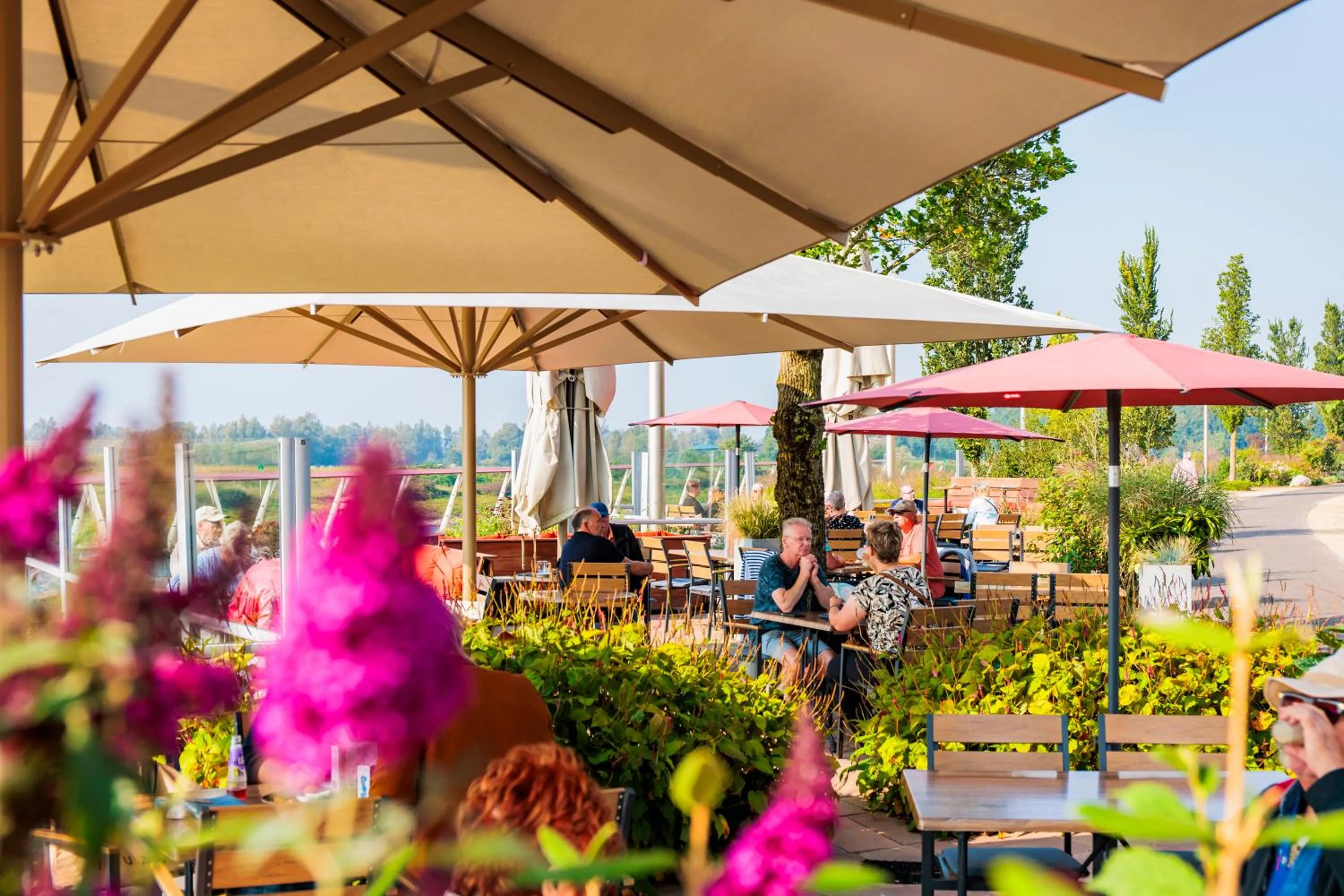 Restaurant/places to eat in Stadshotel Doesburg