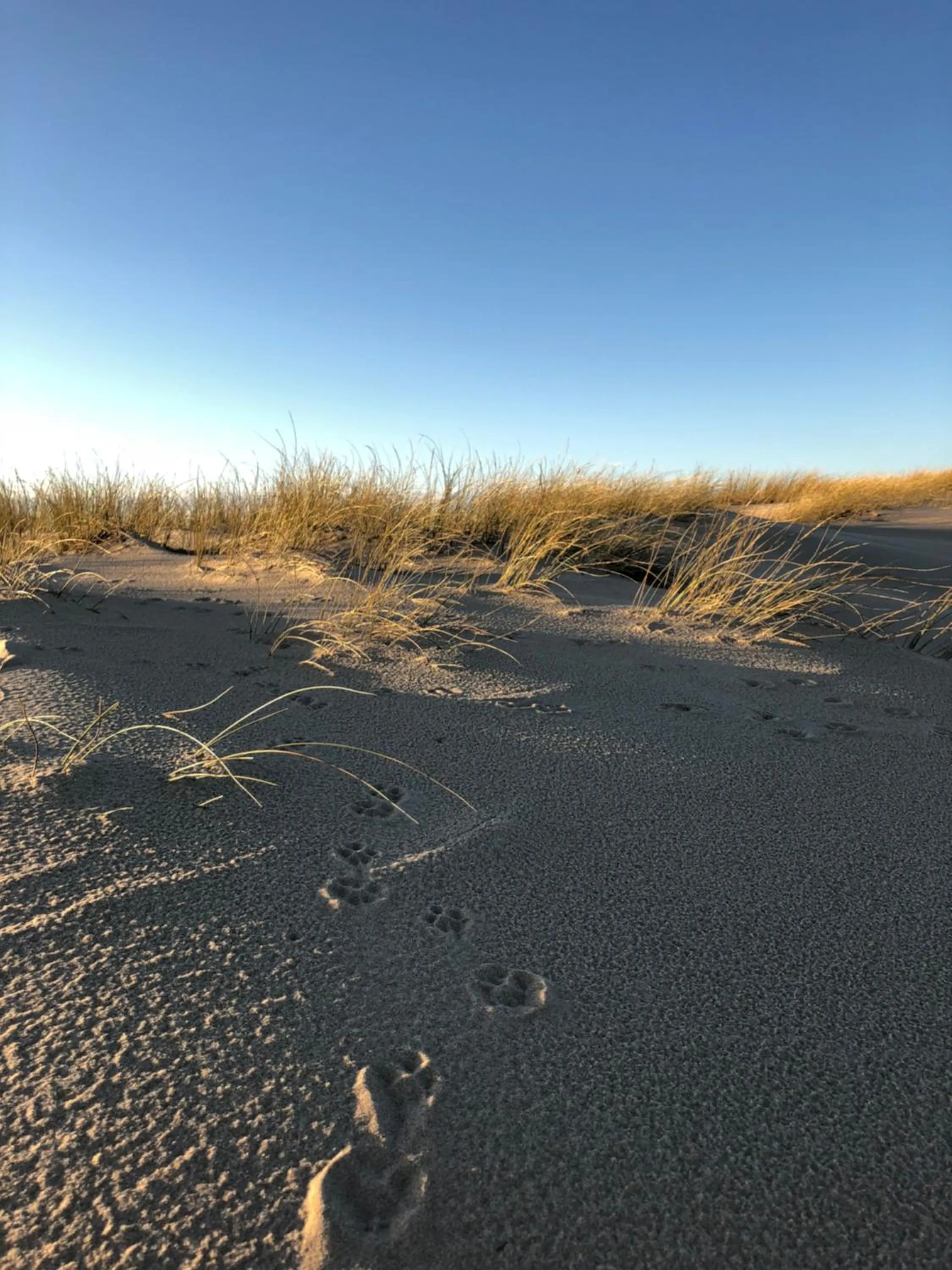 Natural landscape in Le Pavillon Bleu