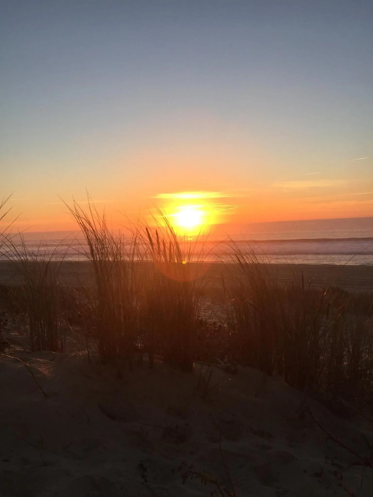 Natural landscape in Le Pavillon Bleu