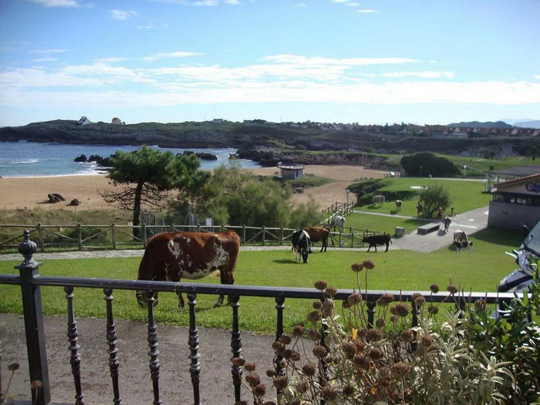 View (from property/room) in Posada La Morena
