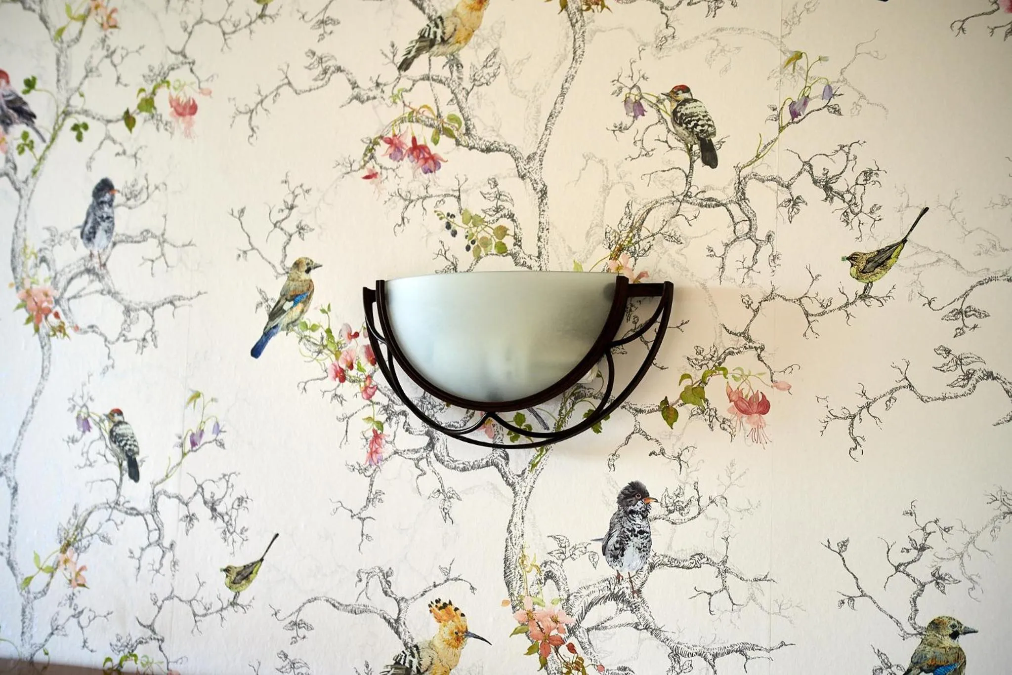 Other in Posada La Morena