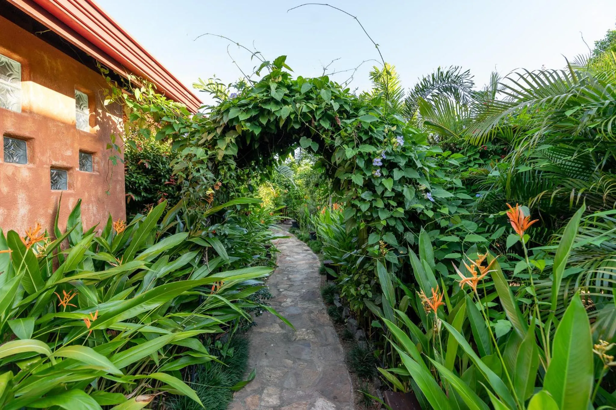 Day in D Canal House