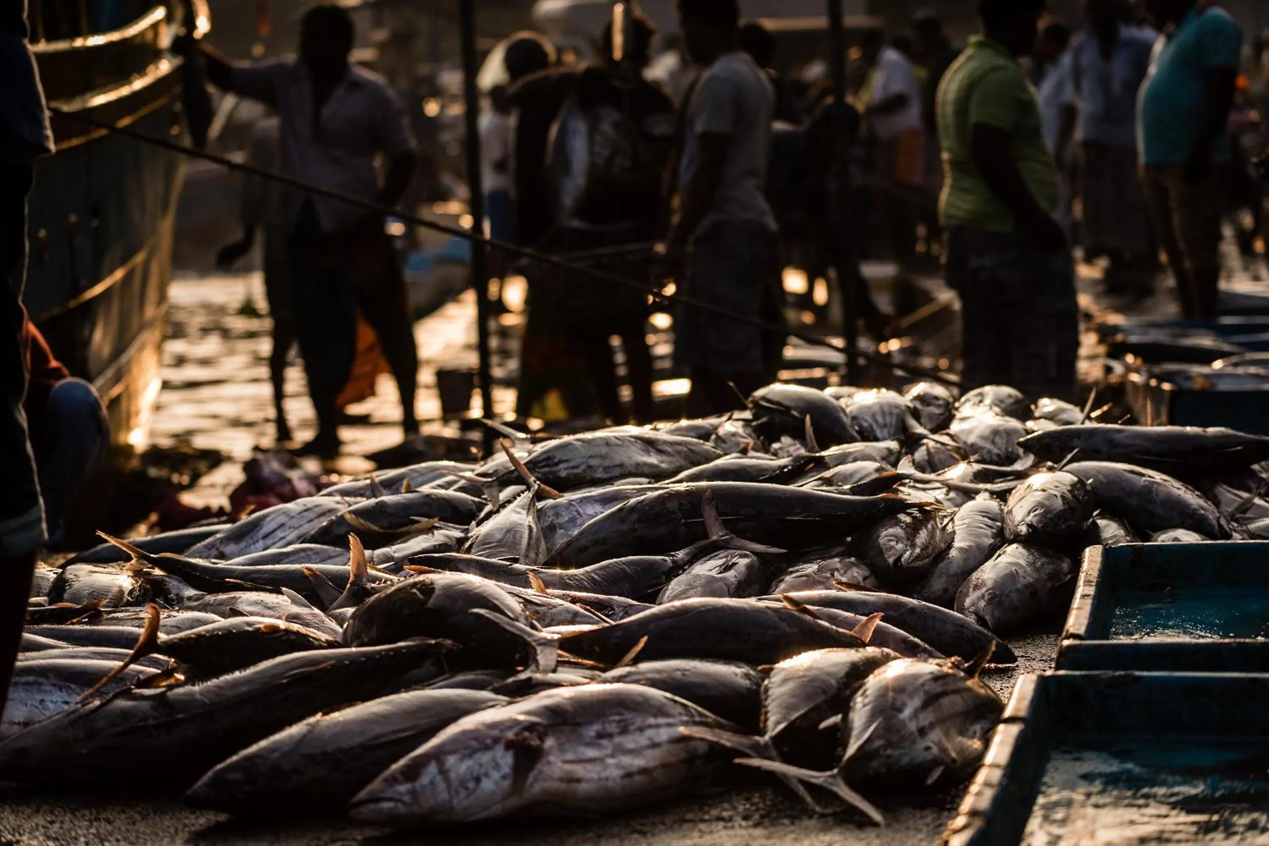Nearby landmark in D Canal House