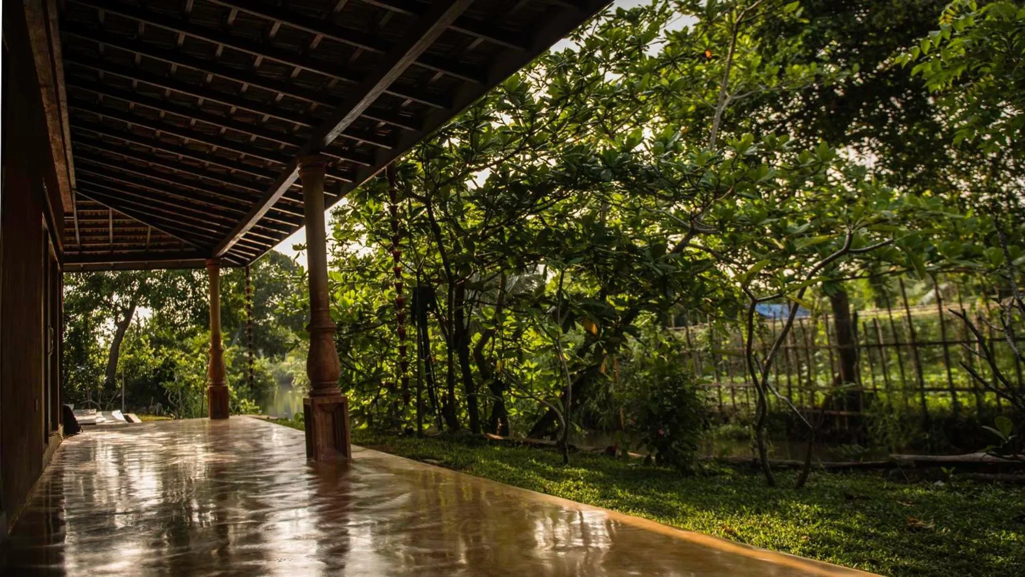 Patio in D Canal House
