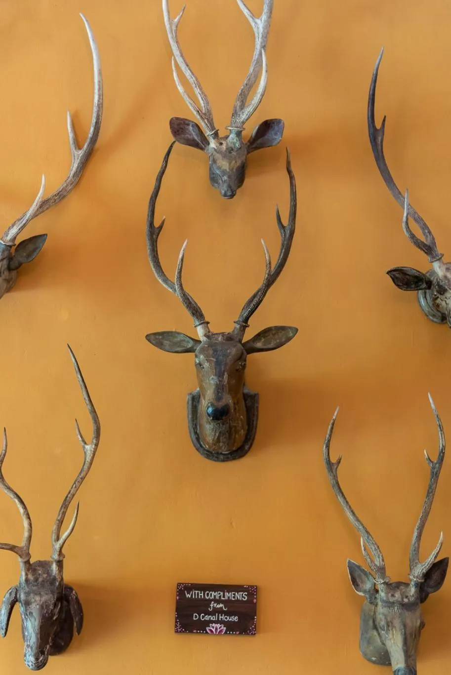 Decorative detail in D Canal House