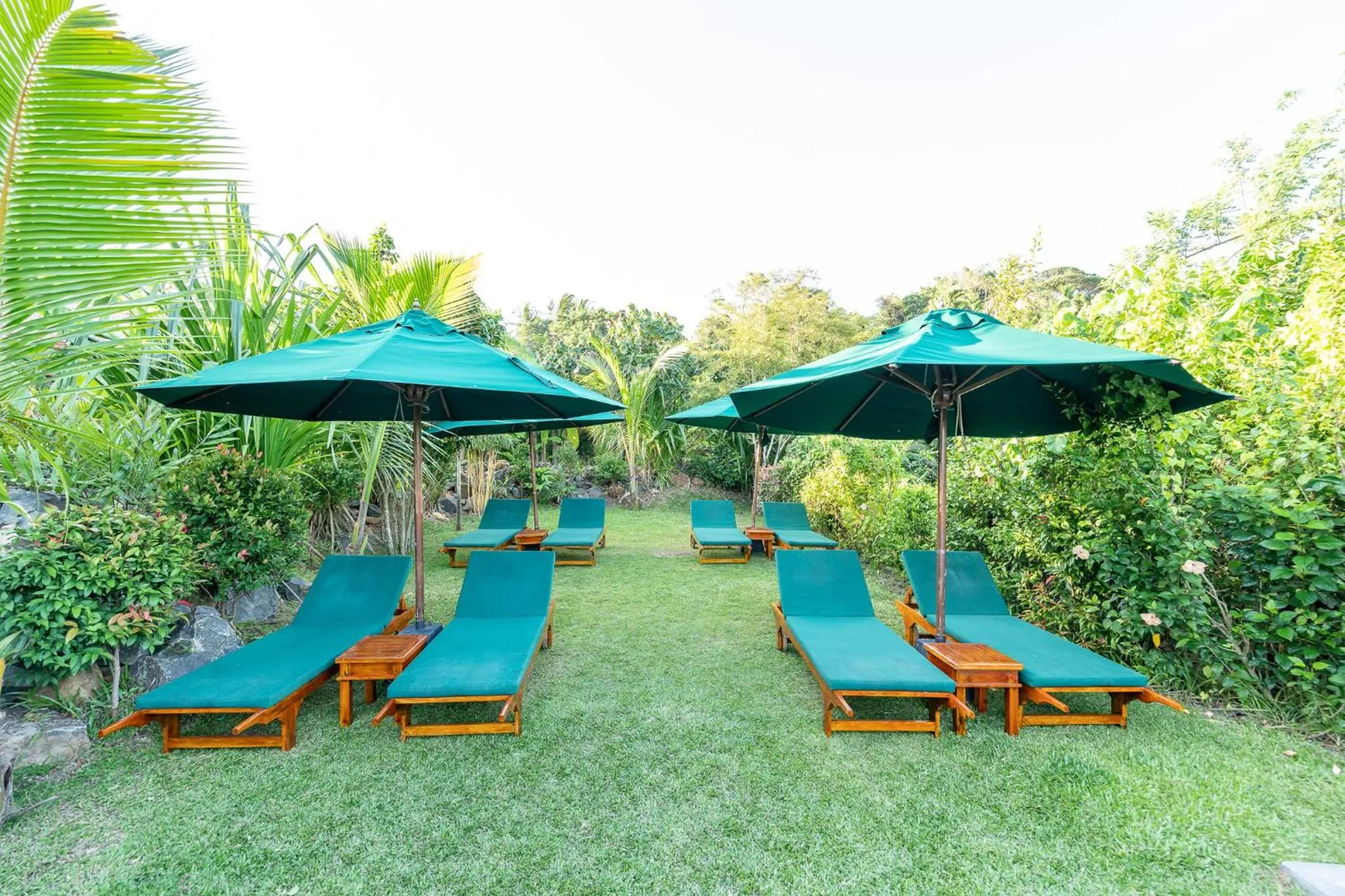 Patio in D Canal House