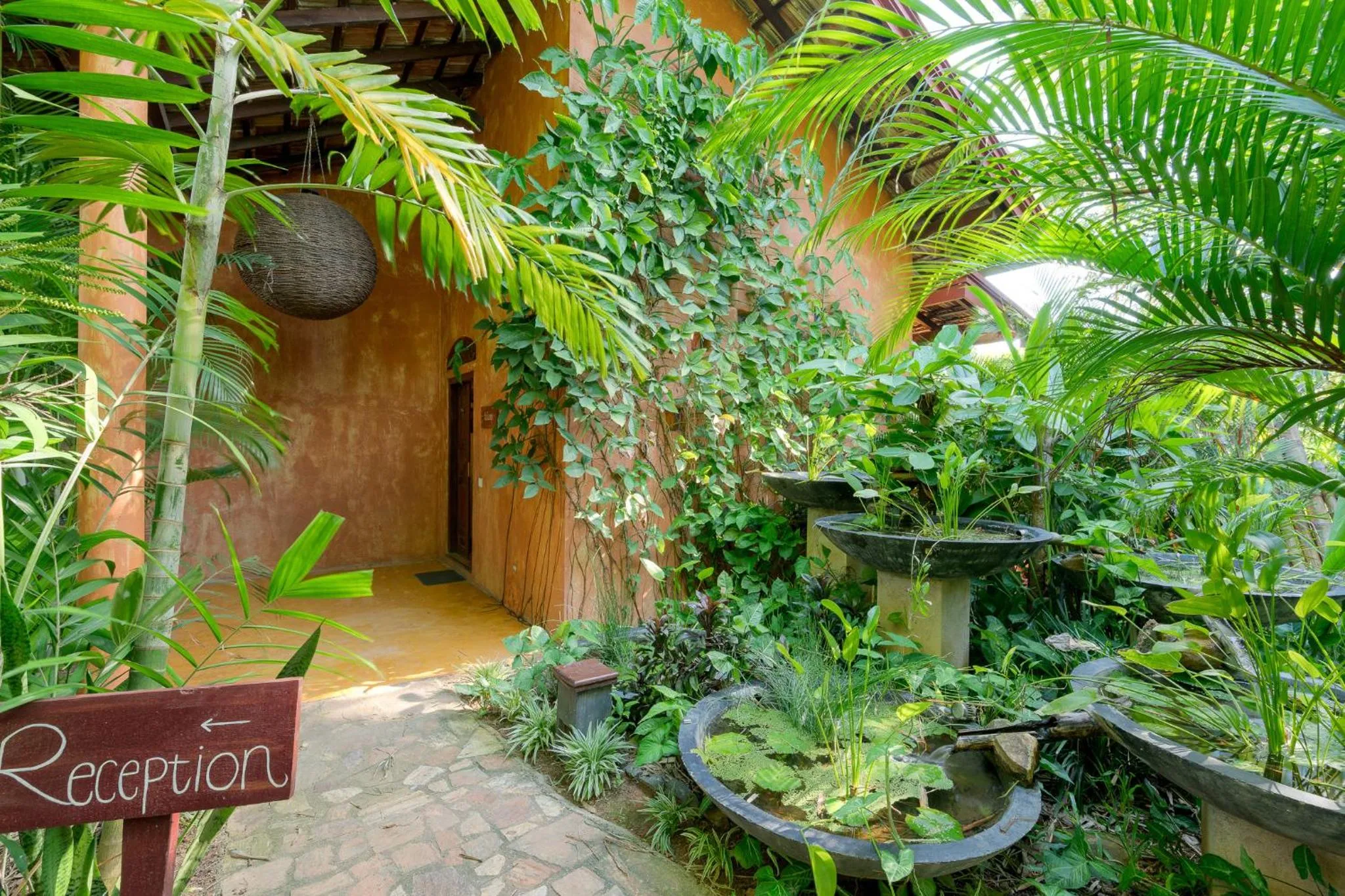 Garden in D Canal House