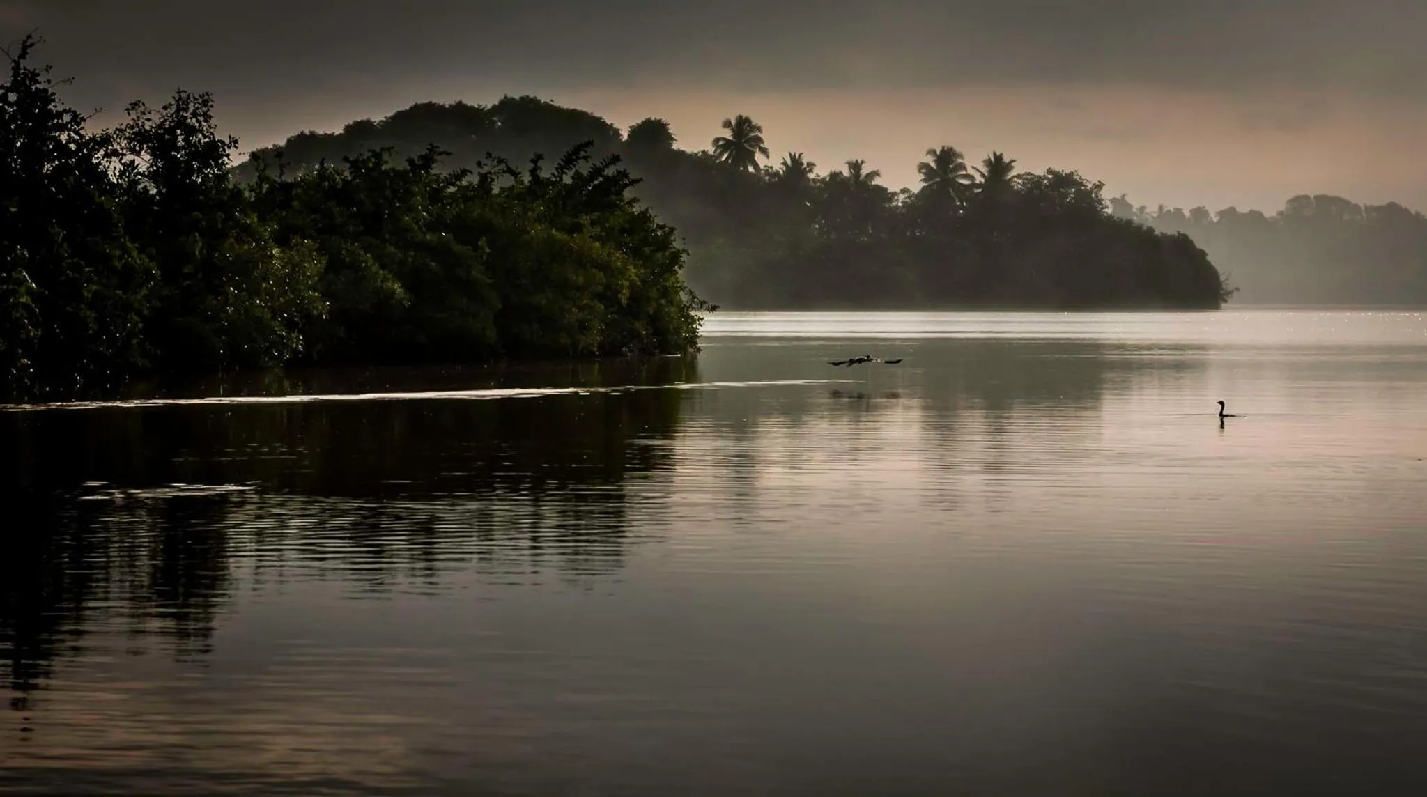Nearby landmark in D Canal House