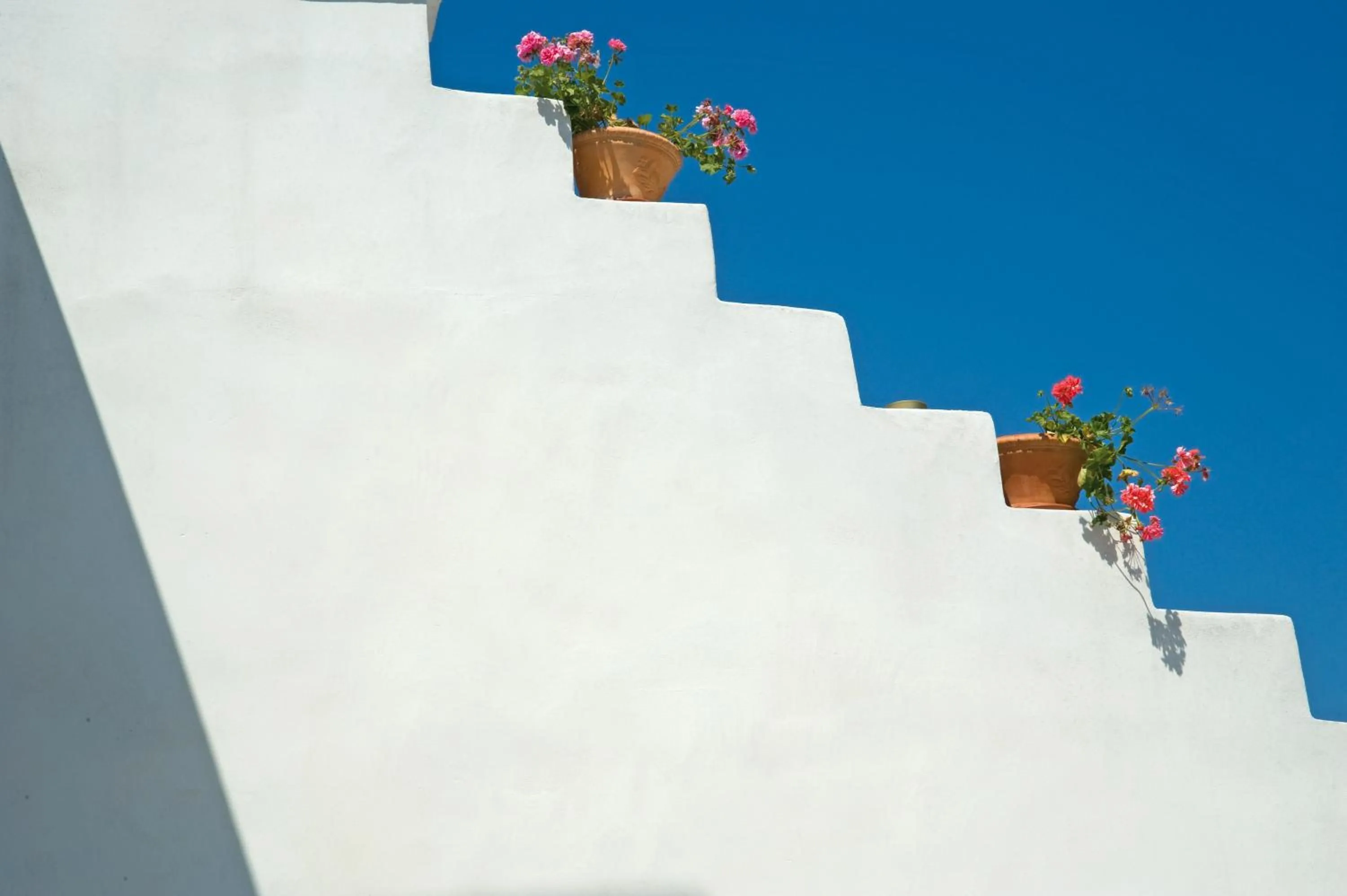 Area and facilities in Tenuta Badessa