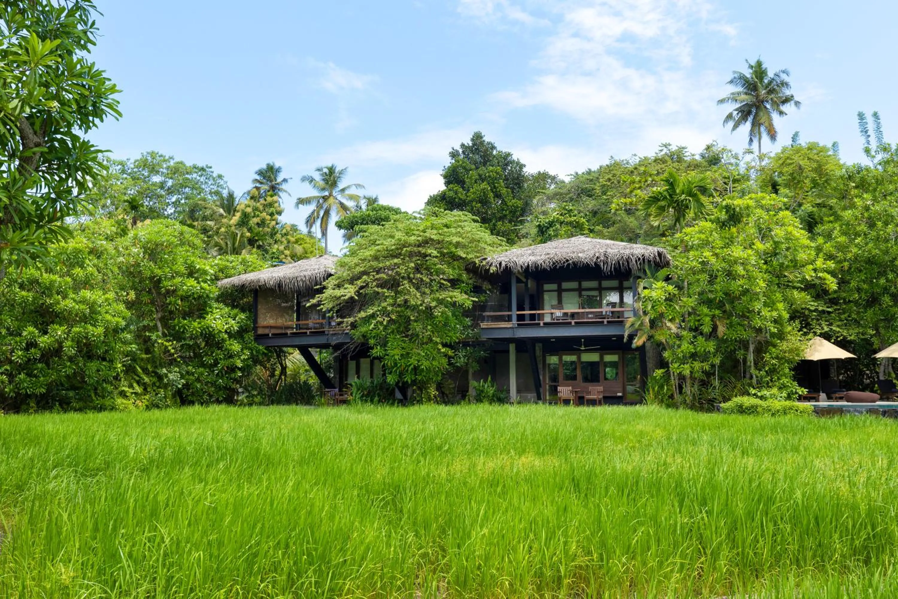 Day in Jetwing Kurulubedda - Adults Only