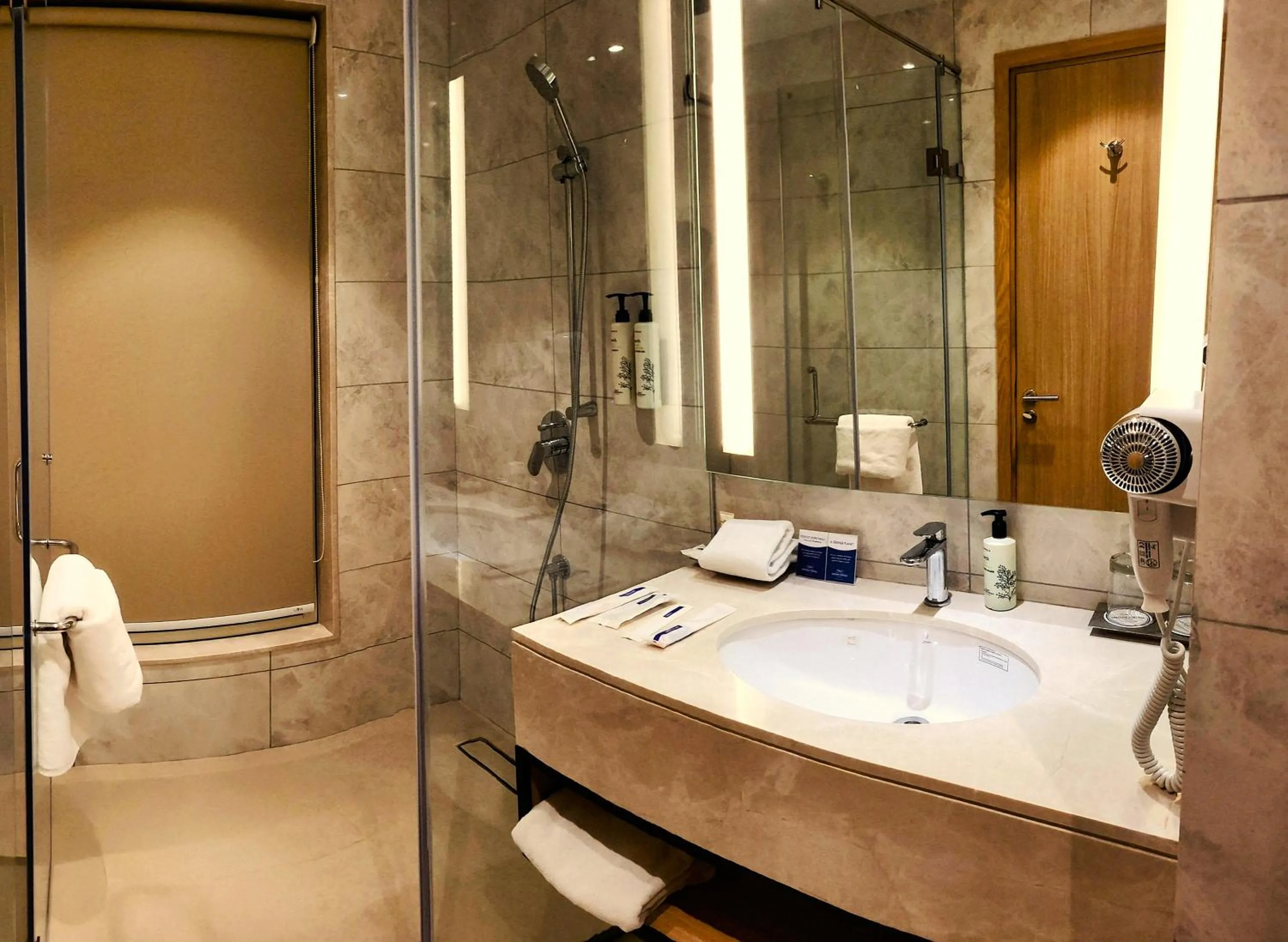 Bathroom in Golden Sarovar Portico
