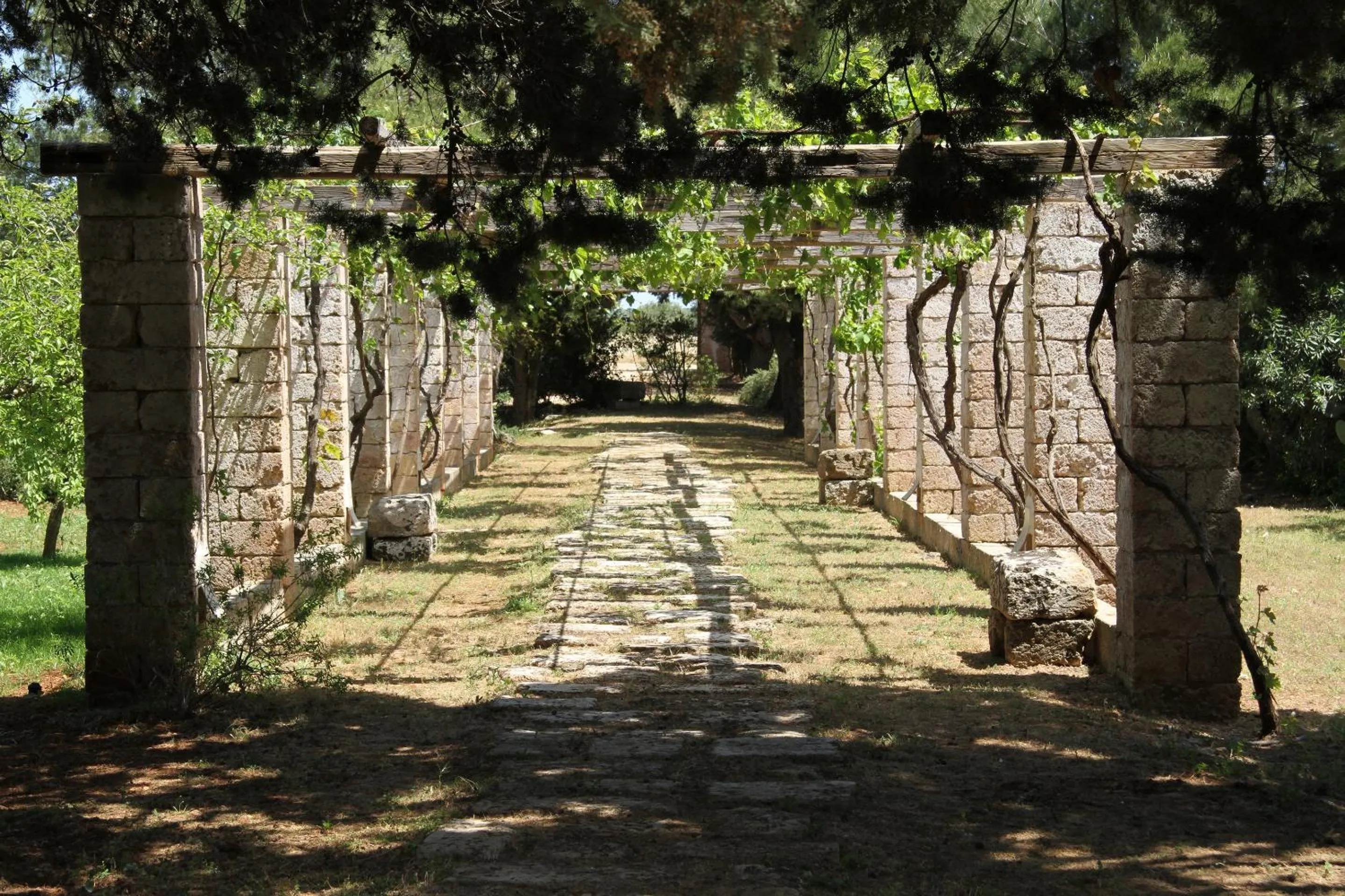 Bird's eye view in Masseria Cristo