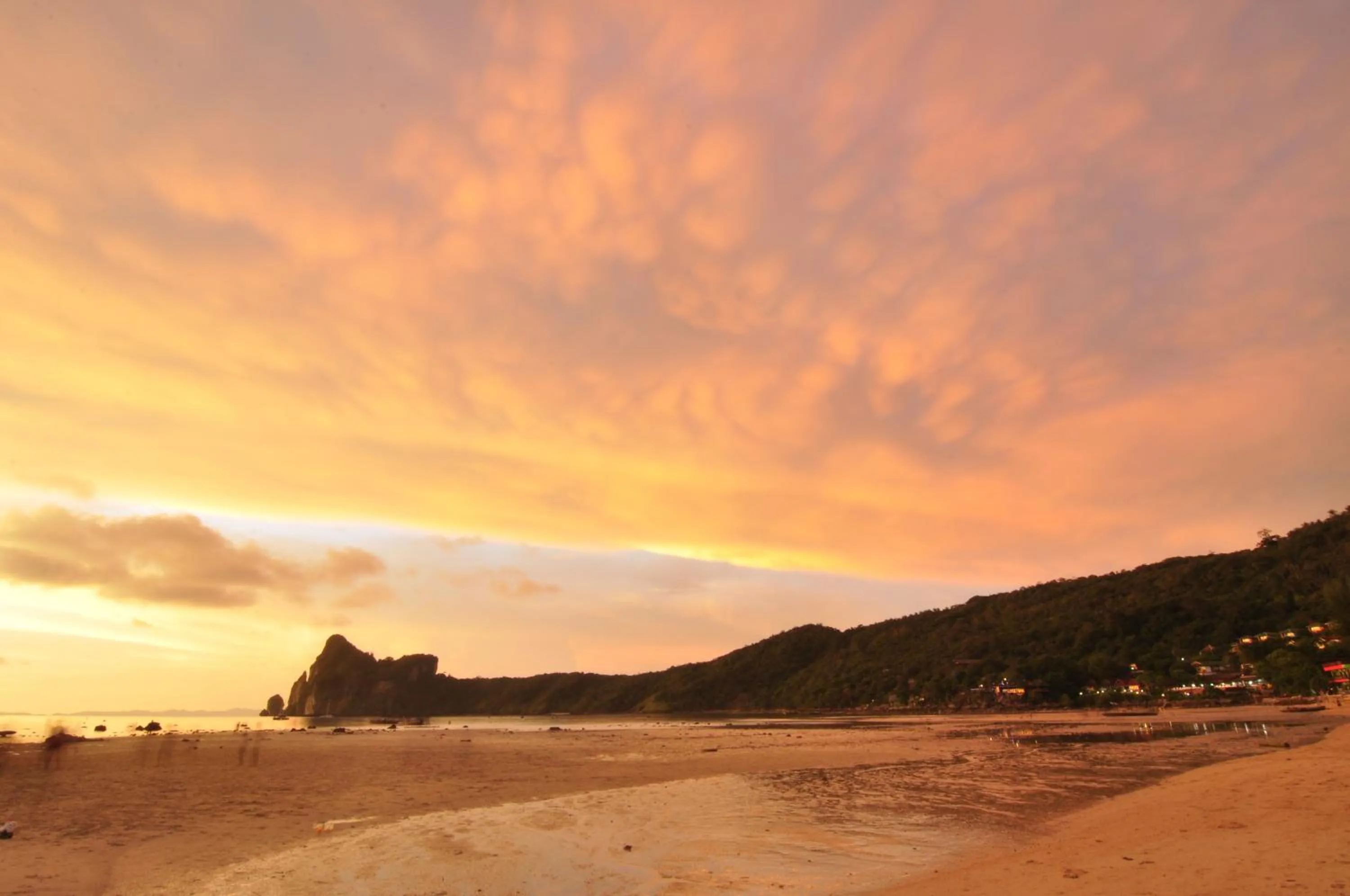 Beach in Phi Phi Twin Palms Bungalow