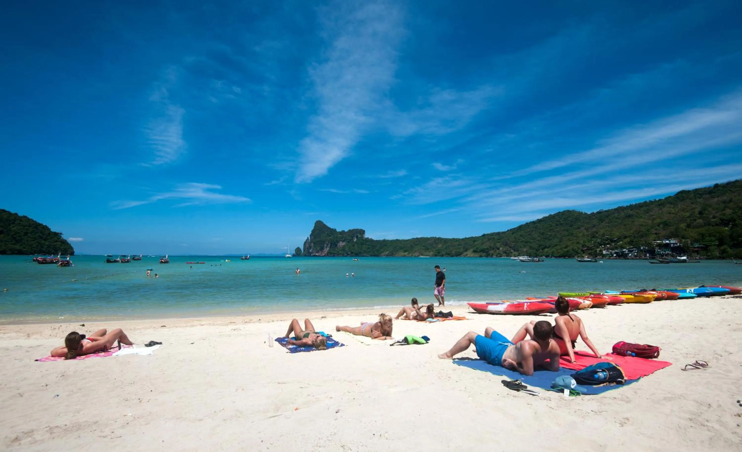 Day in Phi Phi Twin Palms Bungalow