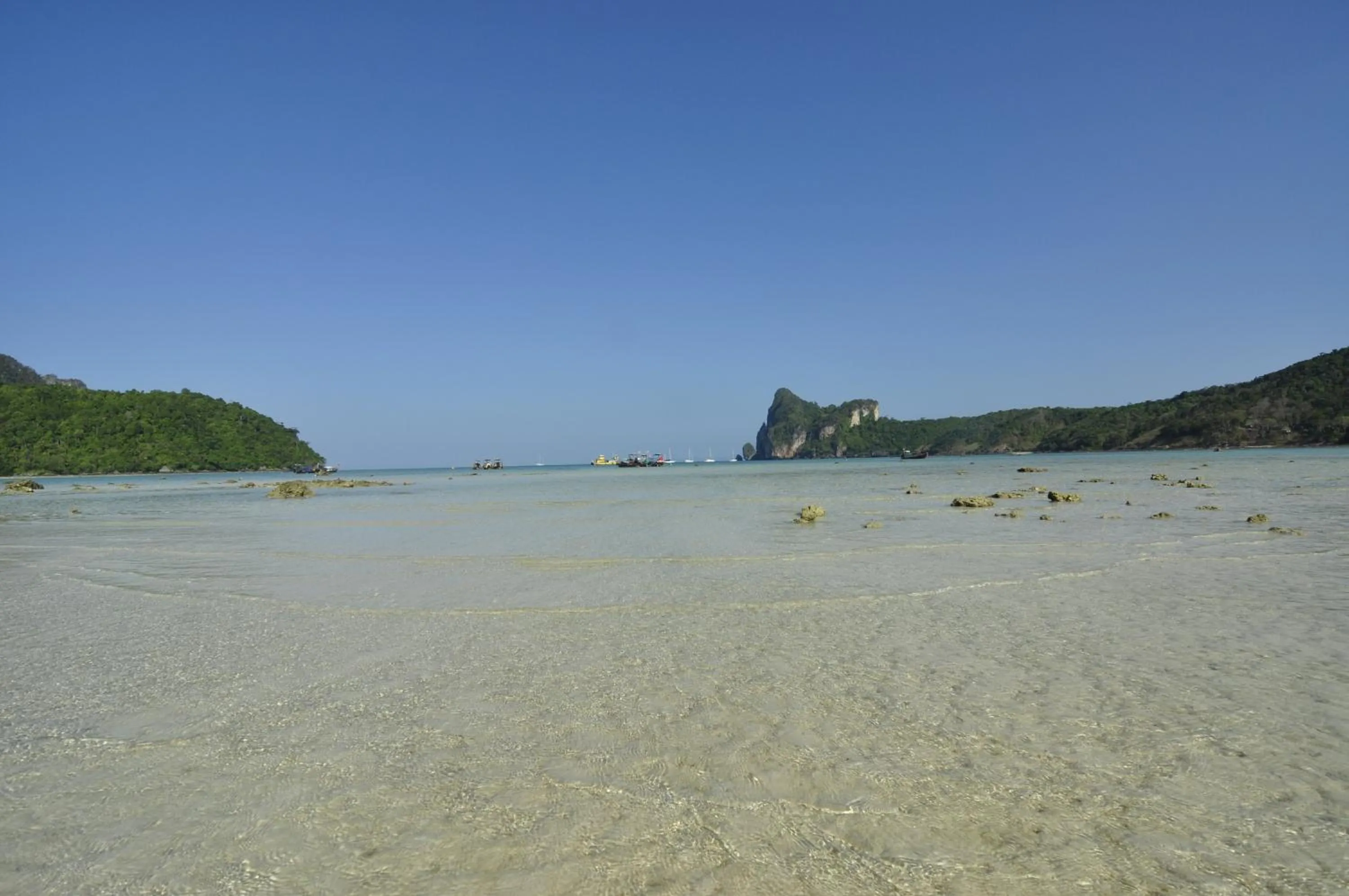 Other in Phi Phi Twin Palms Bungalow