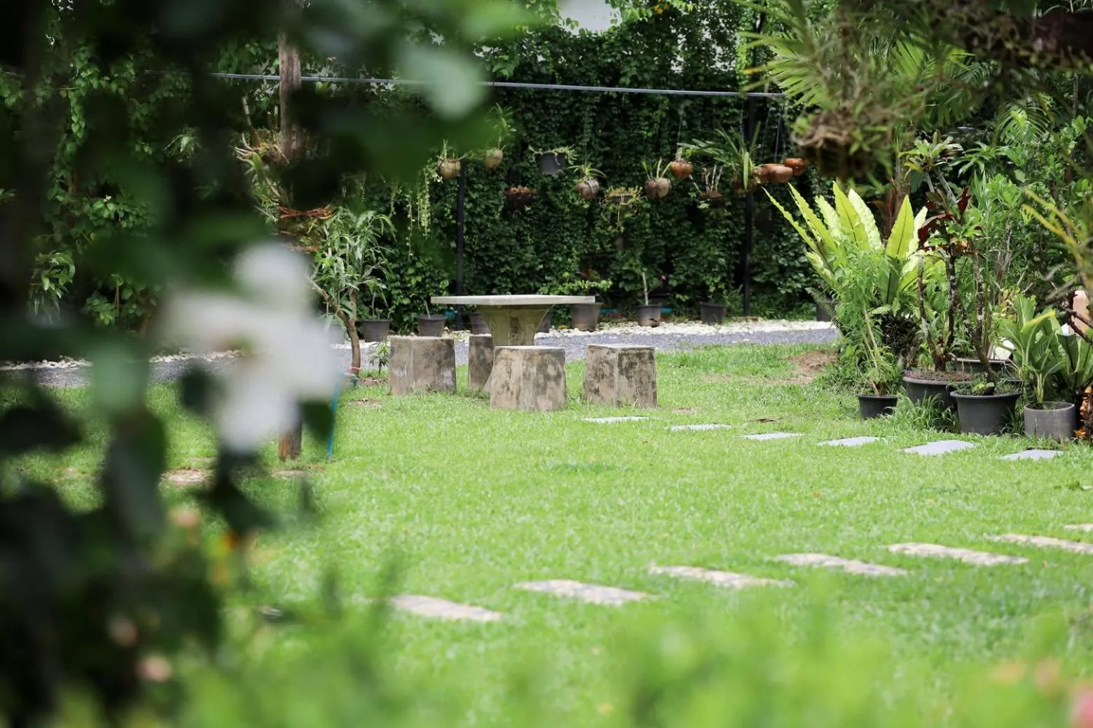 Garden in The Golddiggers Resort