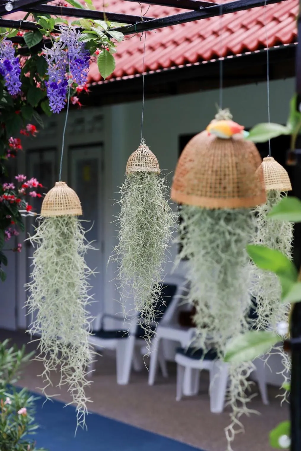 Garden in The Golddiggers Resort