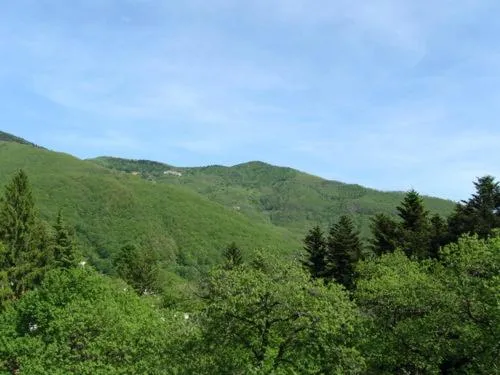 View (from property/room) in Albergo Ristorante Guidi