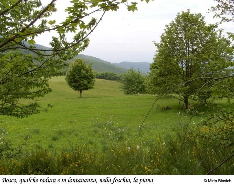 Activities in Albergo Ristorante Guidi
