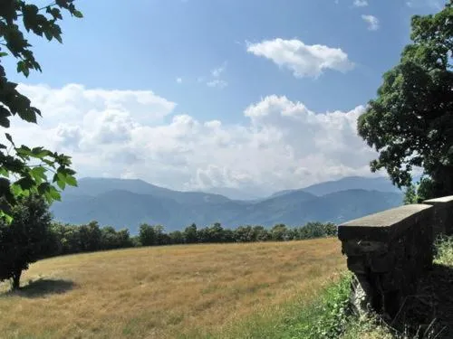 Area and facilities in Albergo Ristorante Guidi