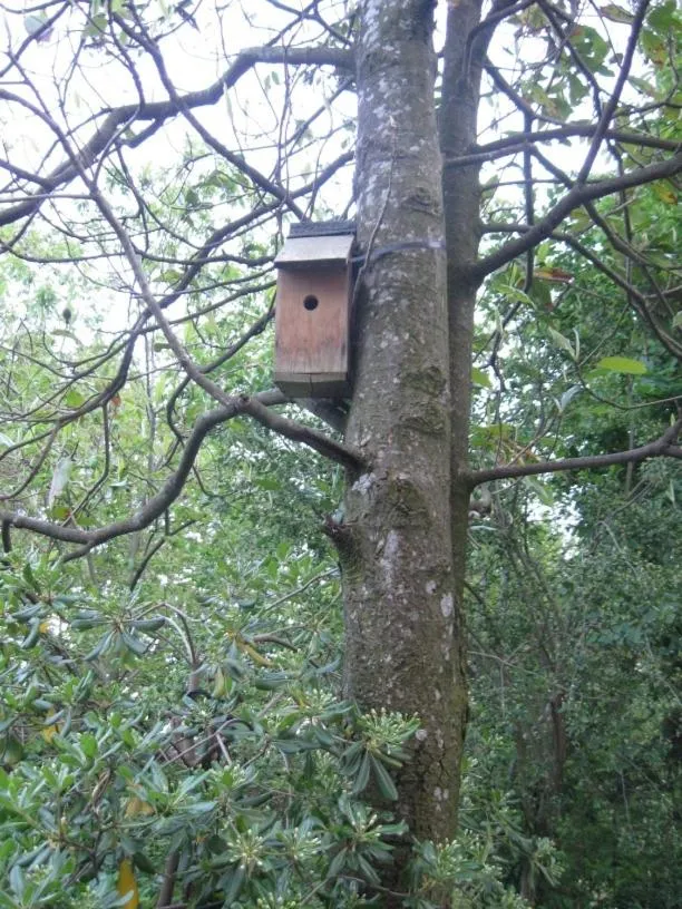Animals in Albergo Ristorante Guidi