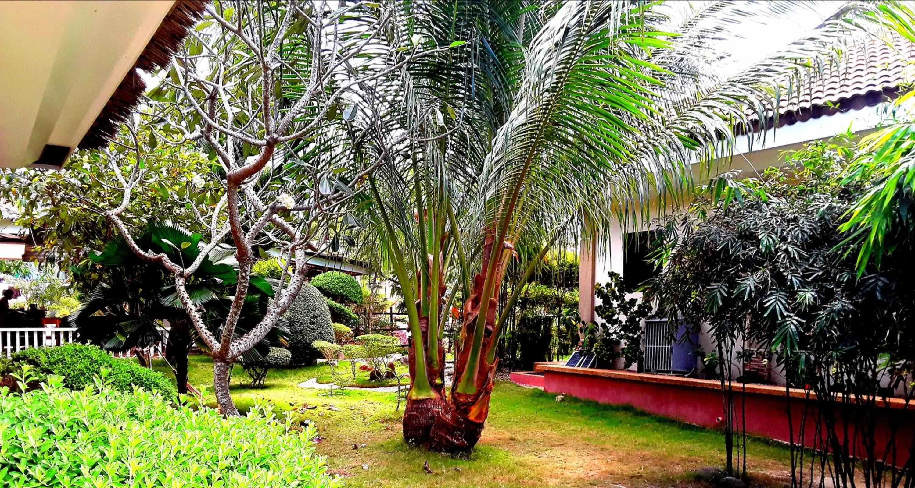 Garden in Adayo Cove Resort
