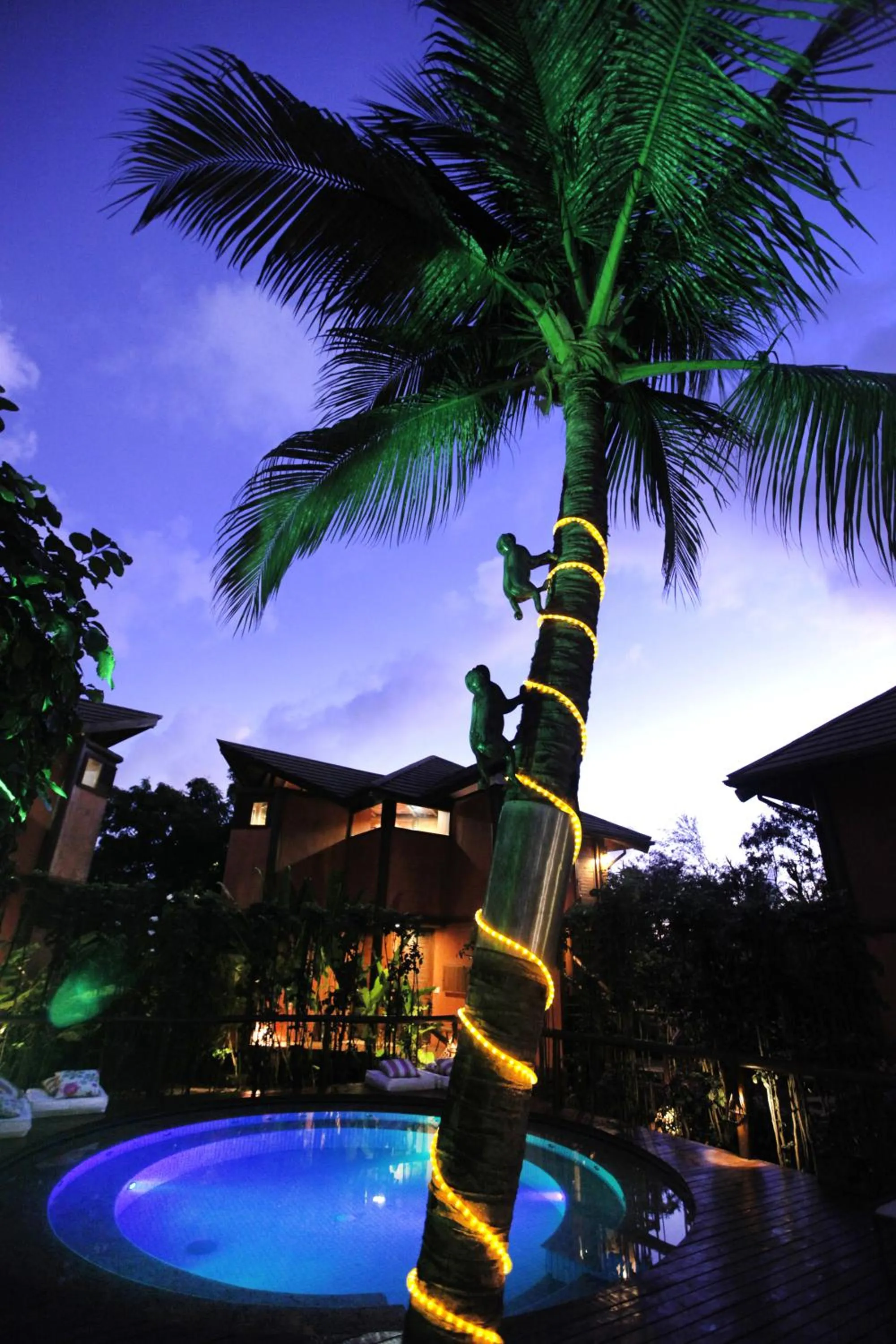 Garden in Pousada Triboju