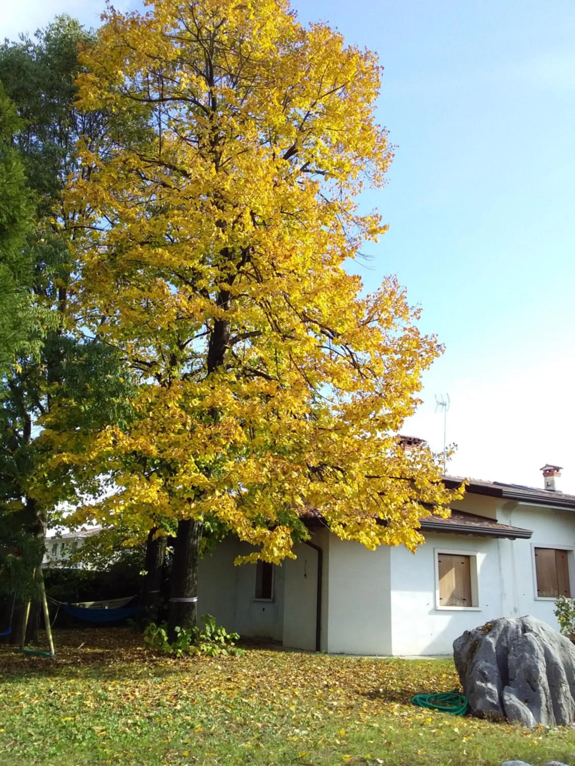 Autumn in Appartamento " Nella Natura "